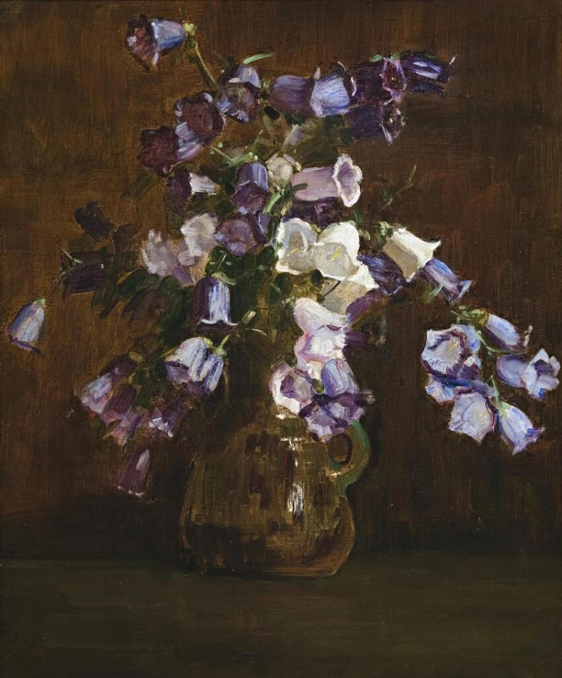 CANTERBURY BELLS, PURPLE AND WHITE