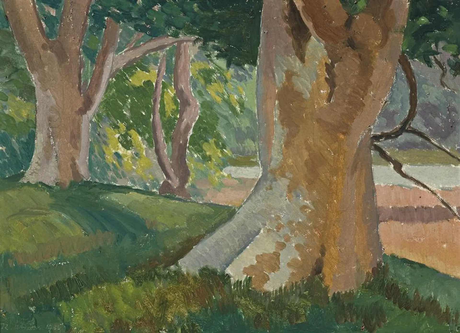 LANDSCAPE WITH ANGOPHORAS