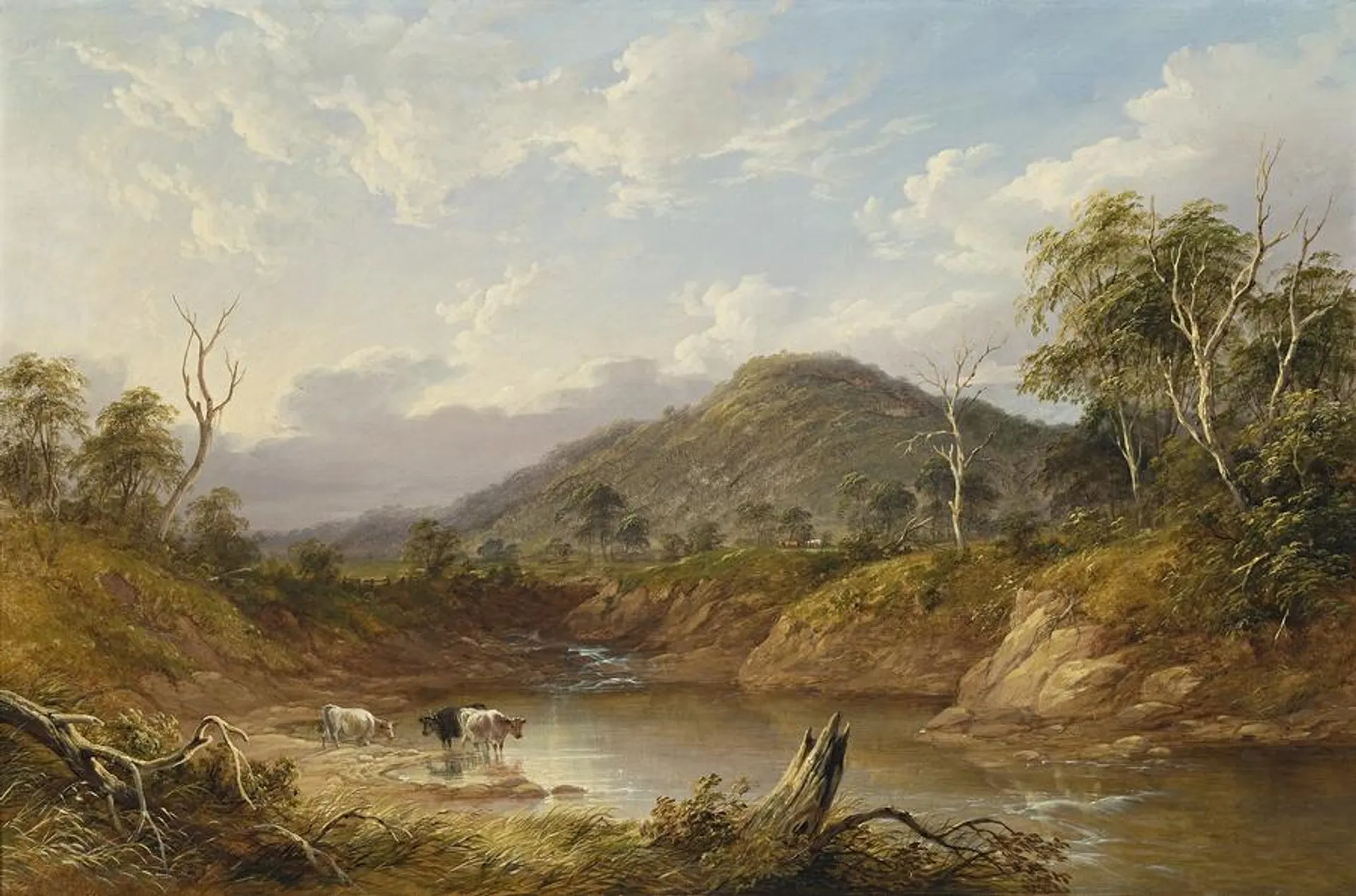RIDDELLS CREEK, MOUNT MACEDON, VIC
