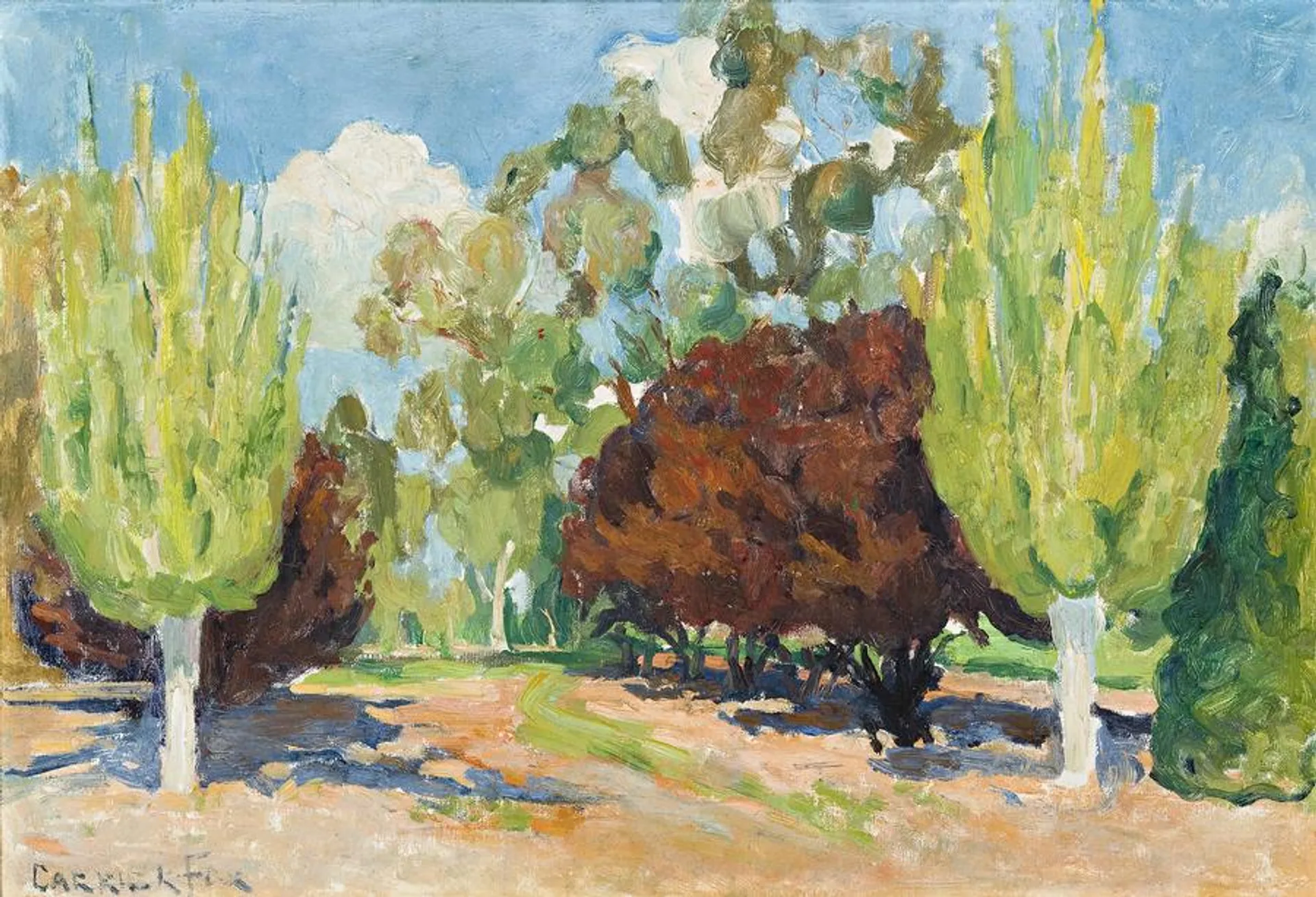 POPLARS AND PRUNUS, CANBERRA