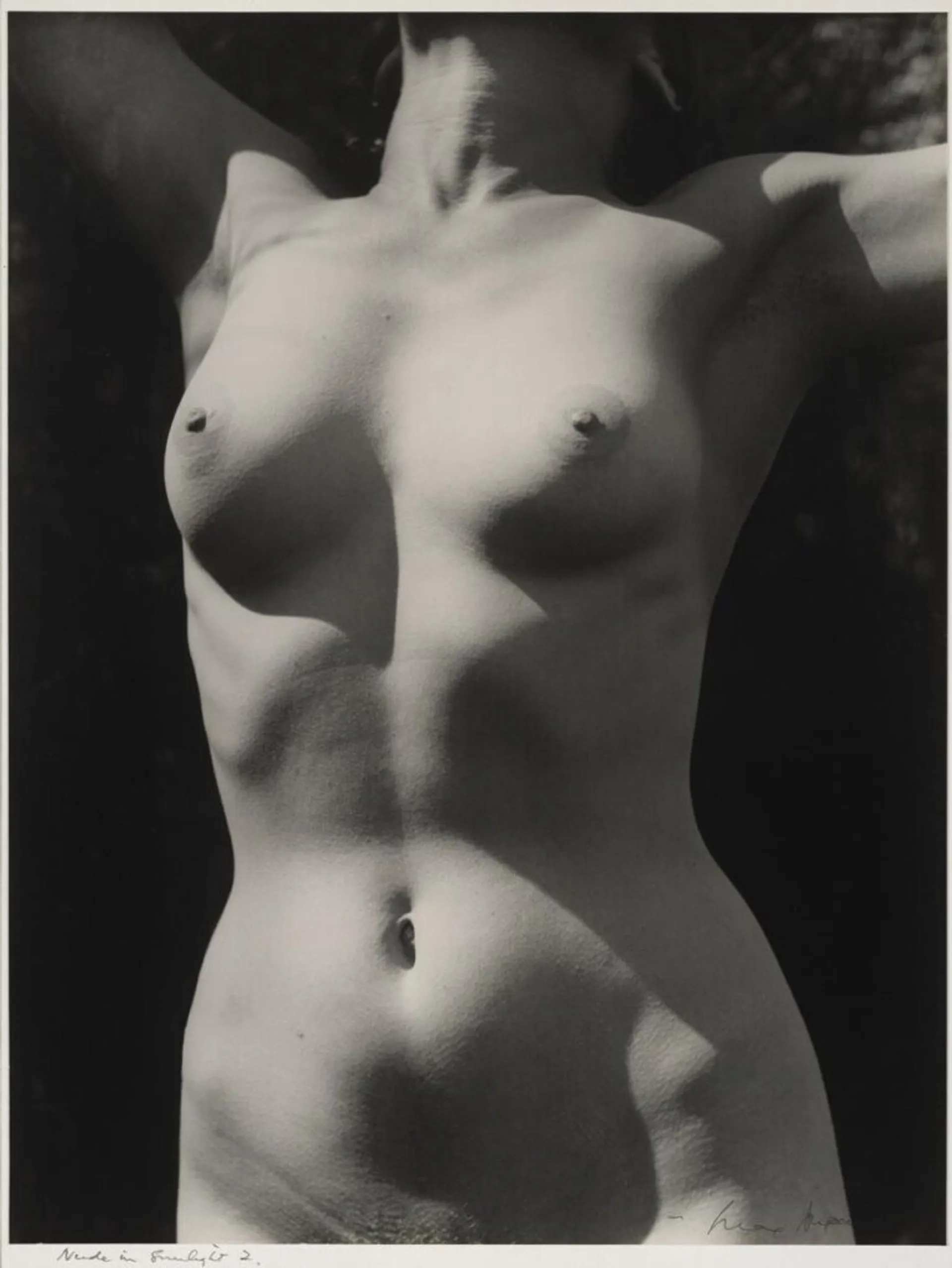 TORSO IN SUNLIGHT