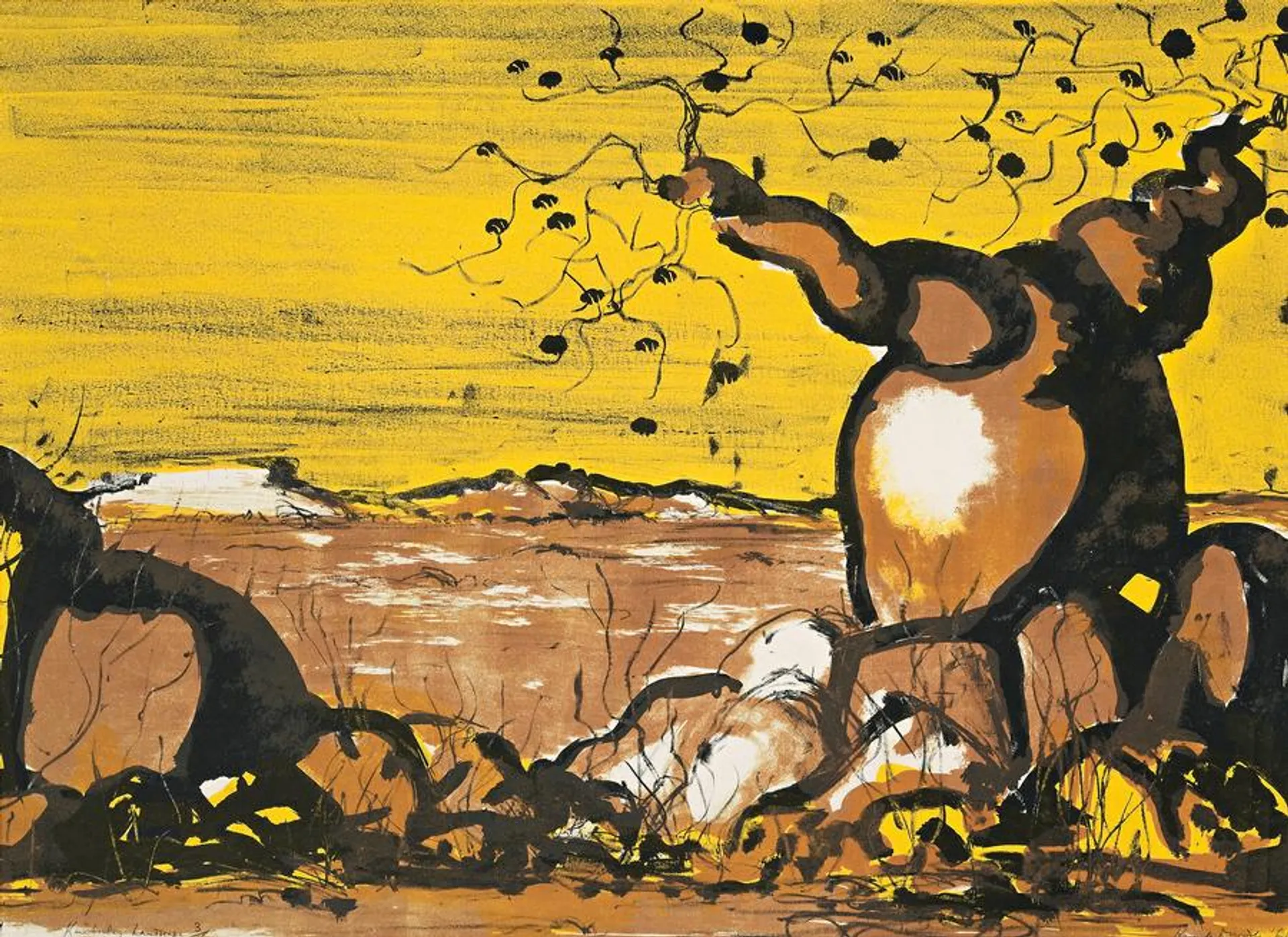 KIMBERLEY LANDSCAPE
