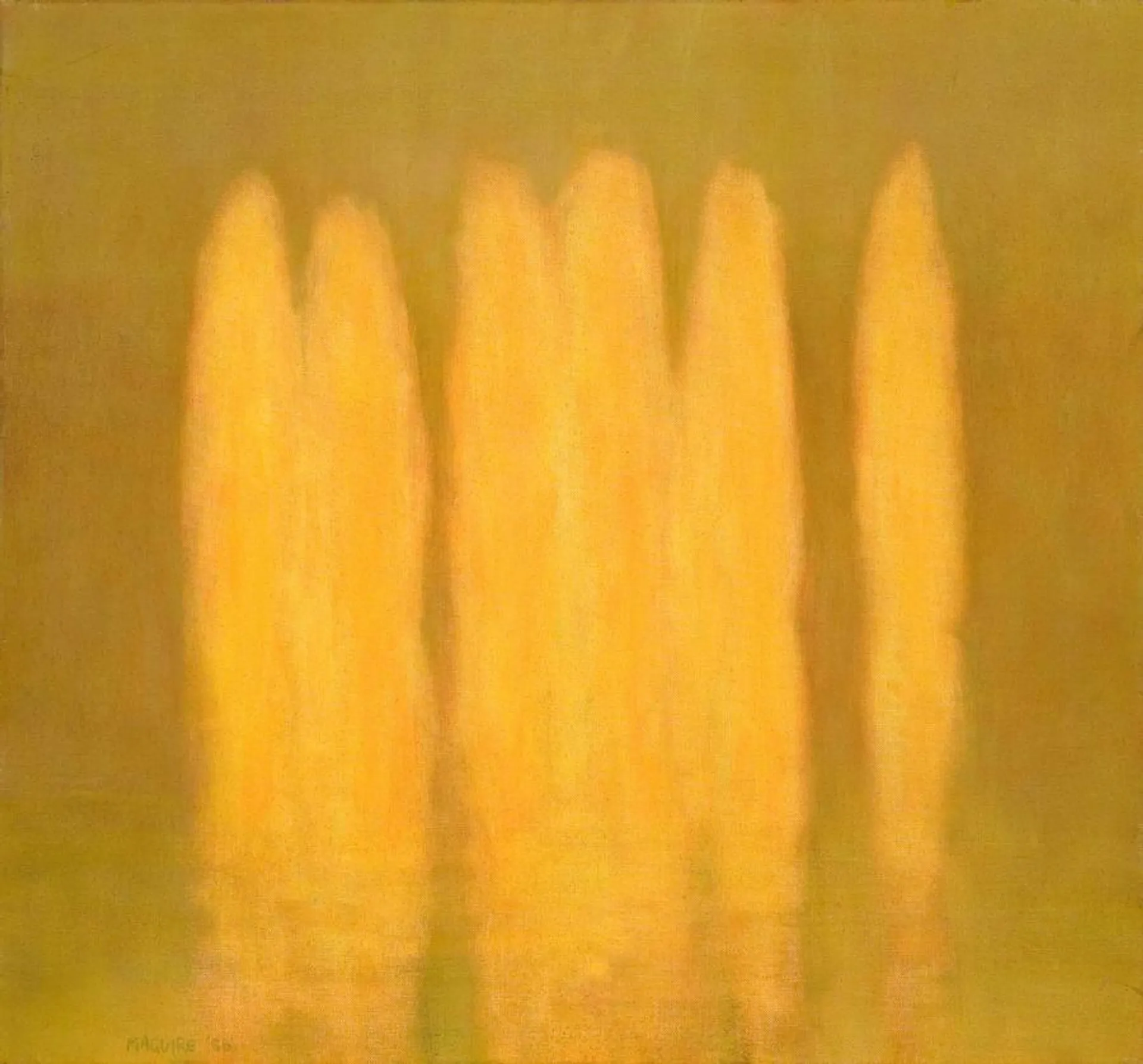 POPLARS