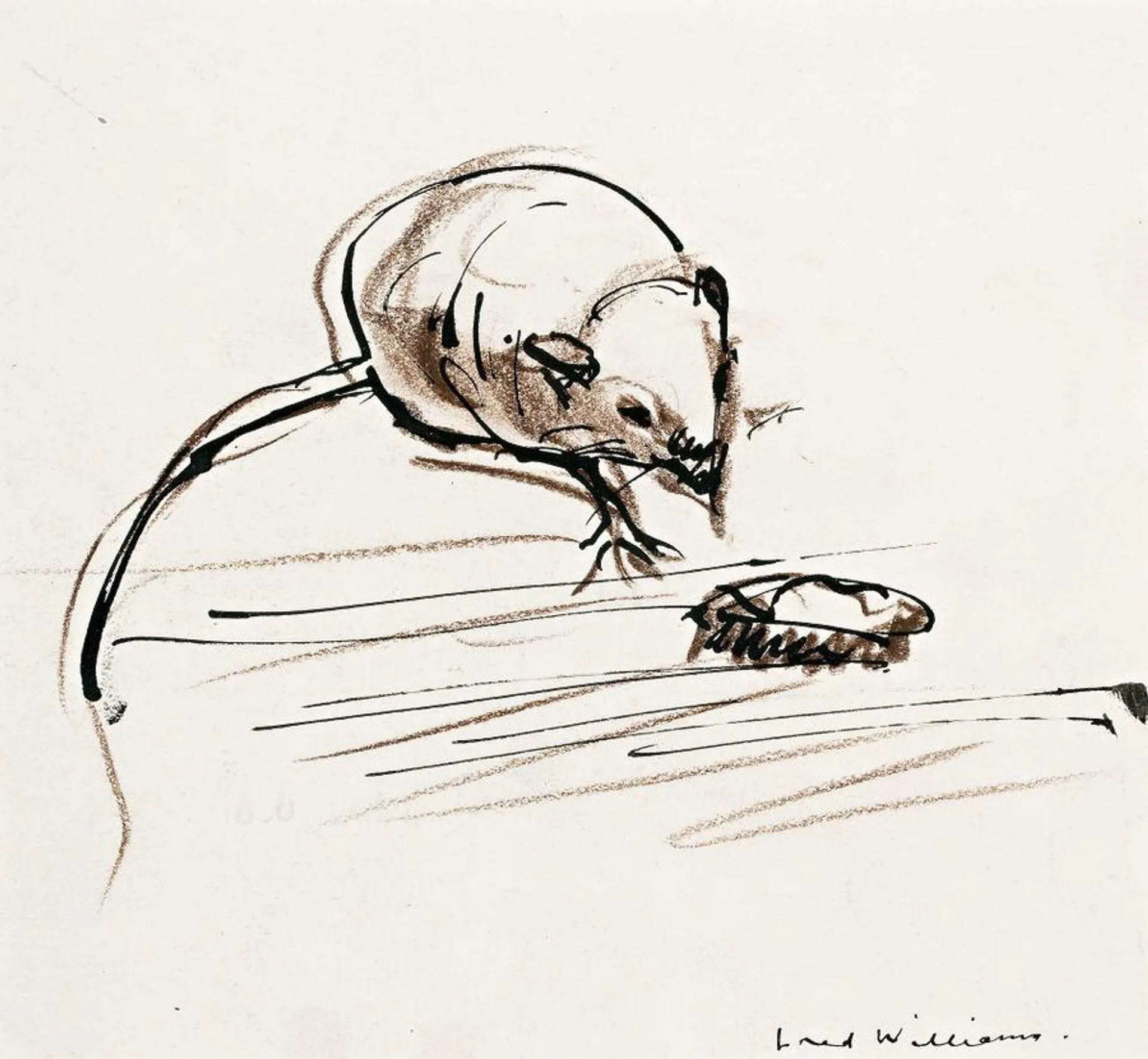 MOUSE AND ROACH