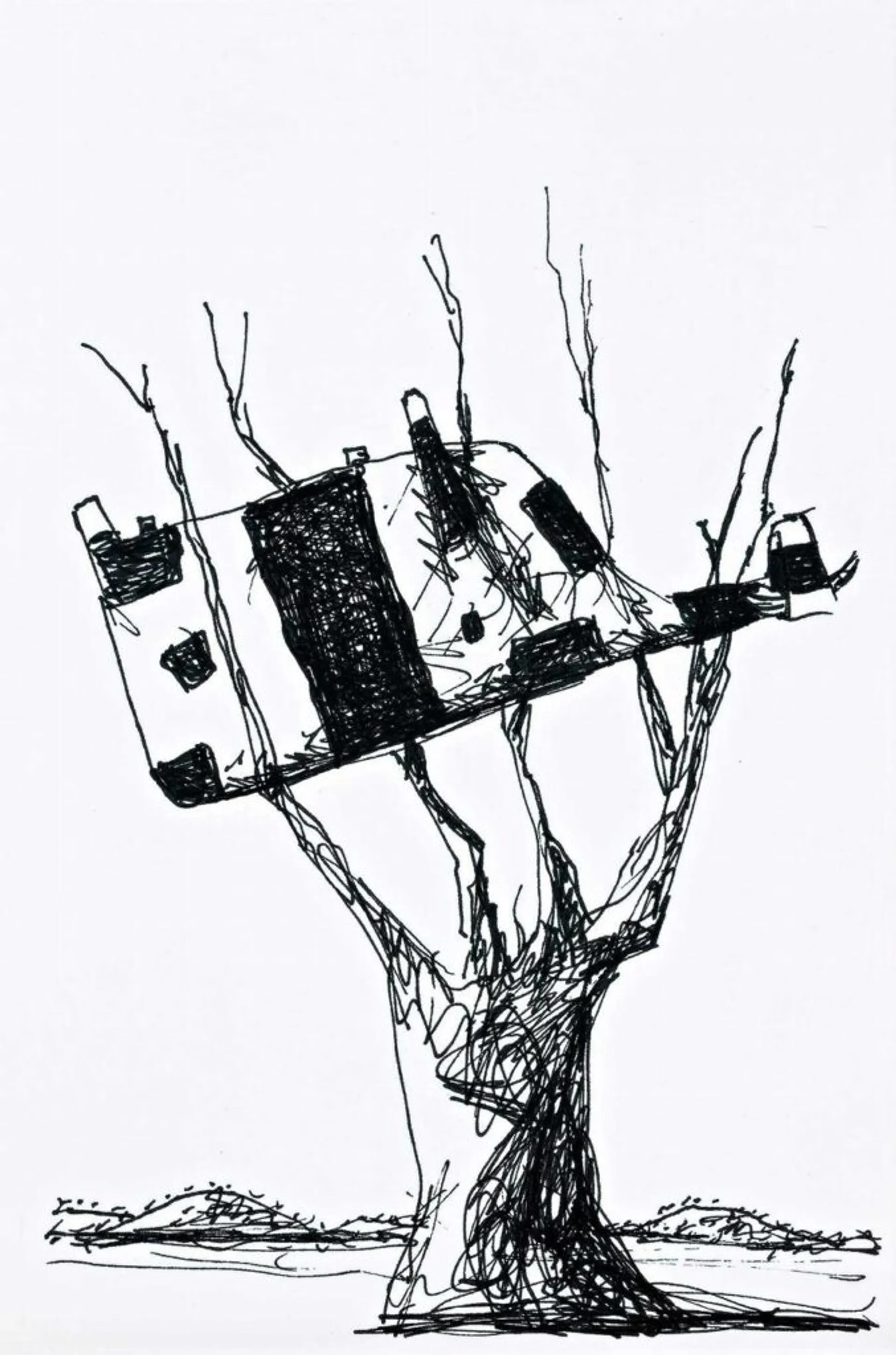 COW UP A TREE, DOBELL’S COW