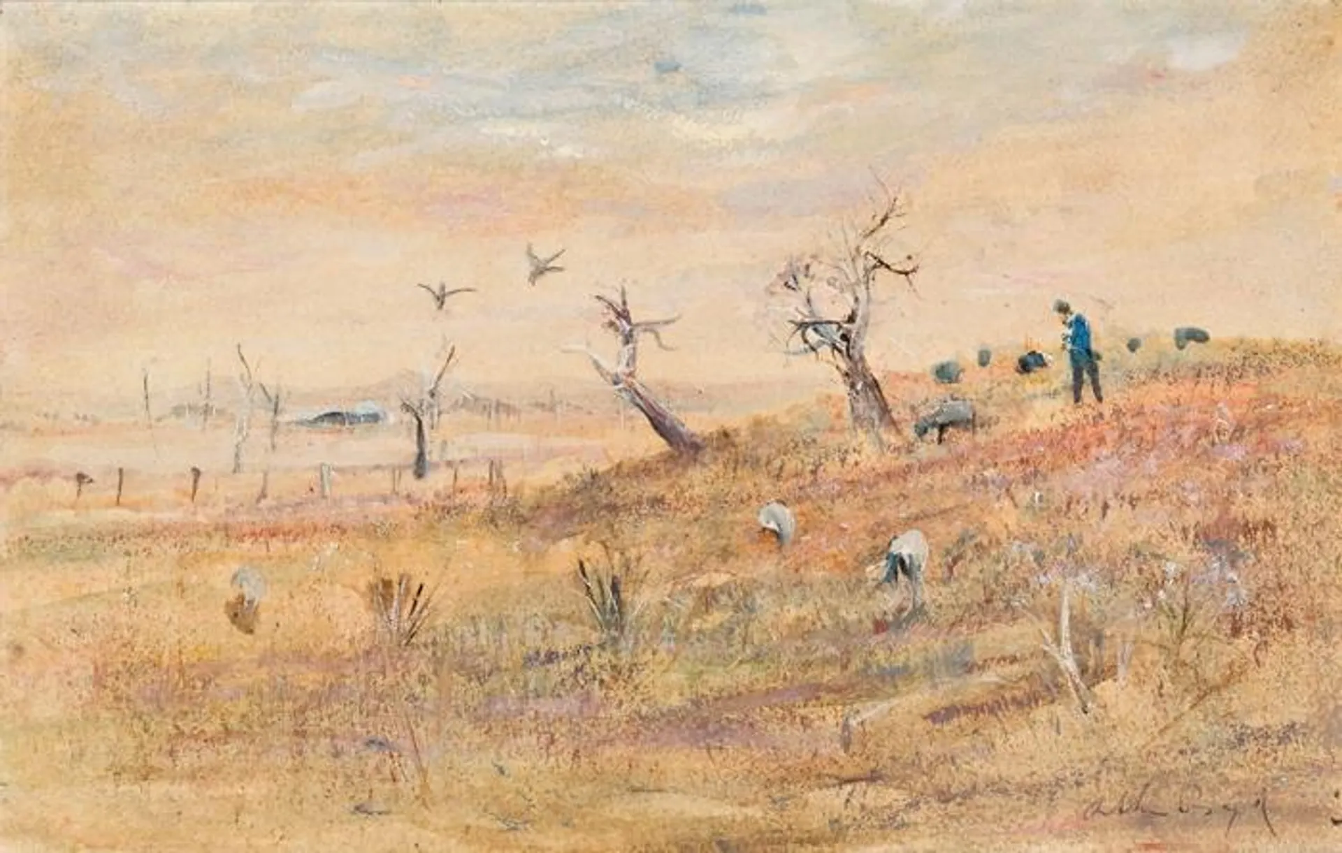 FIGURE AND SHEEP, WIMMERA