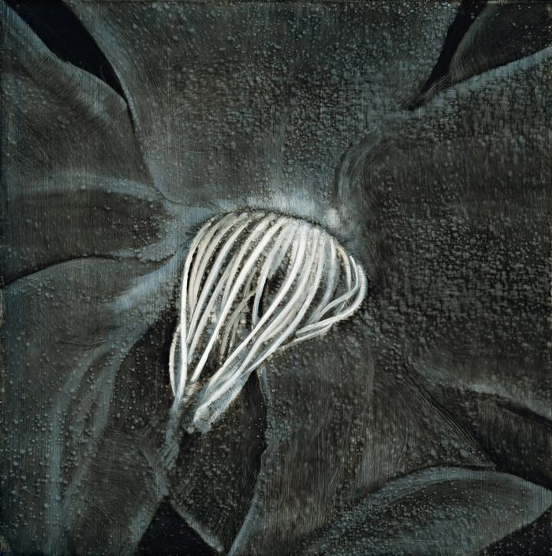 UNTITLED 20030907