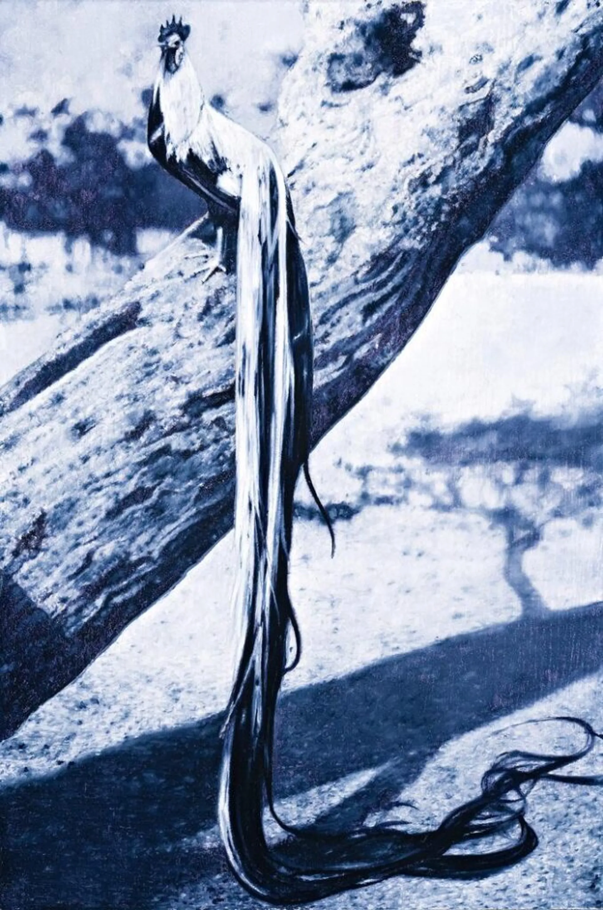 BLACK-BREASTED SILVER ONAGADORI ON A TREE