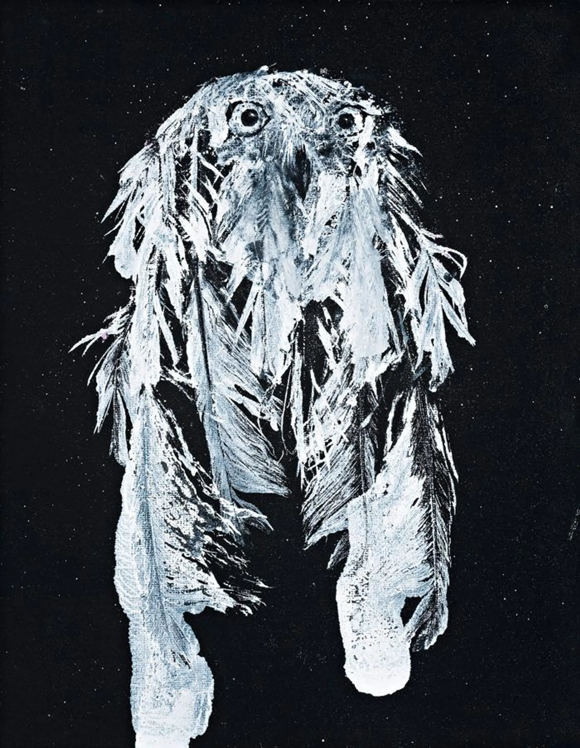 SNOWY OWL 6