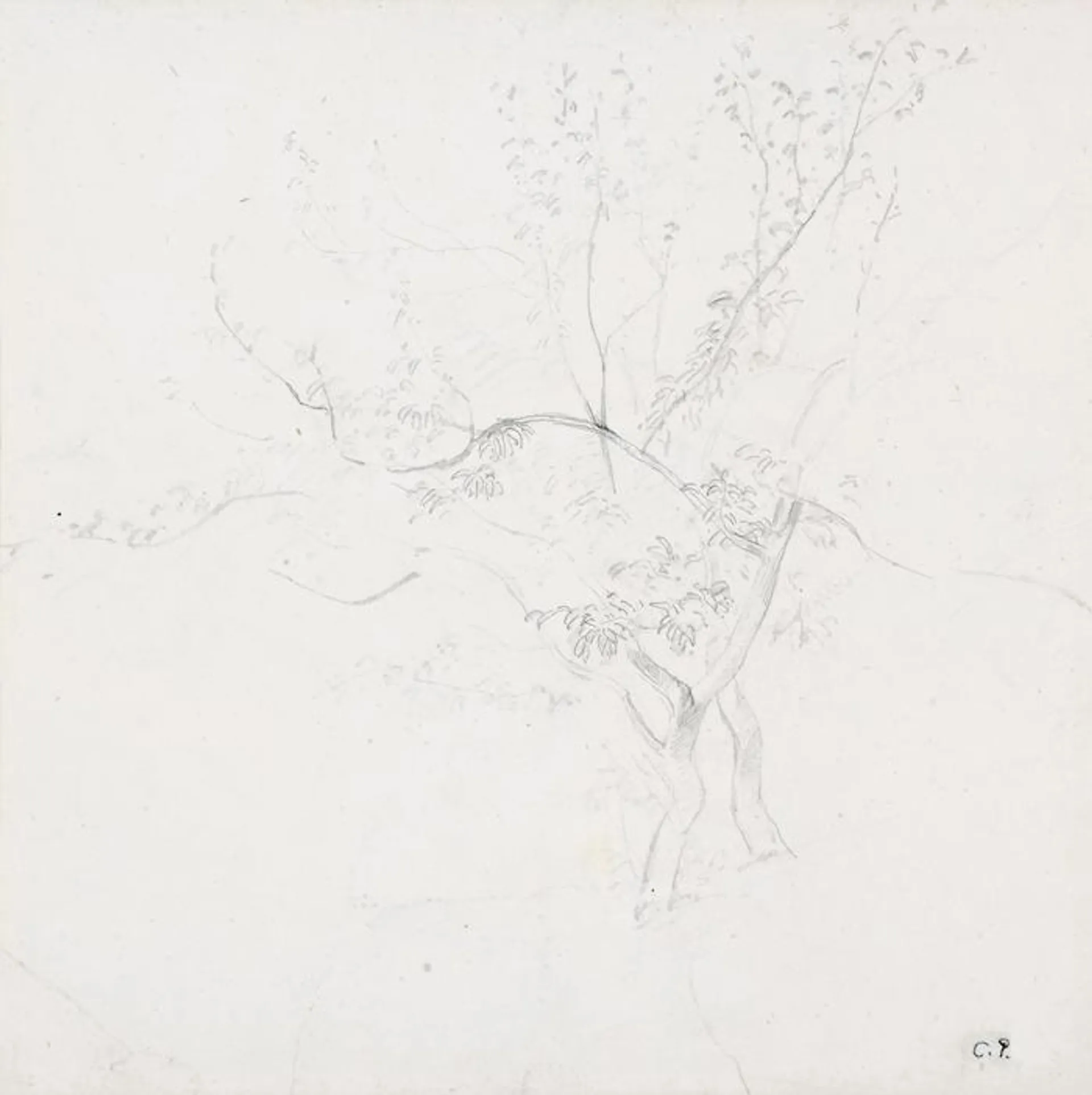 LA FEUILLETTE, PARIS