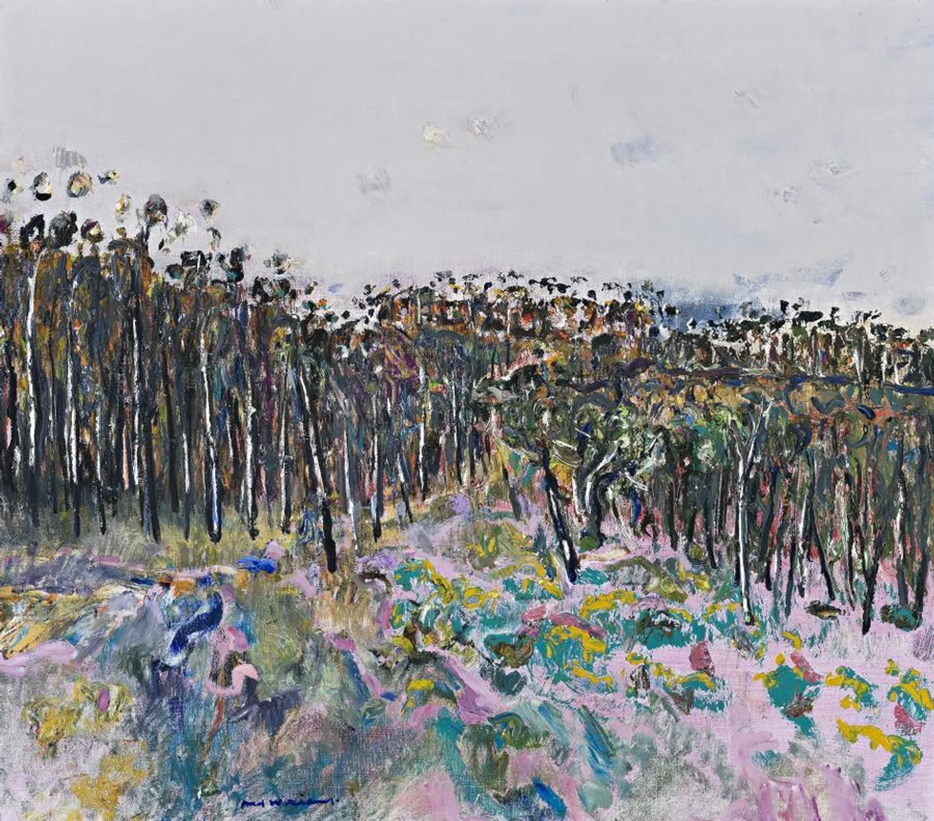 YELLOW GORSE, YAN YEAN