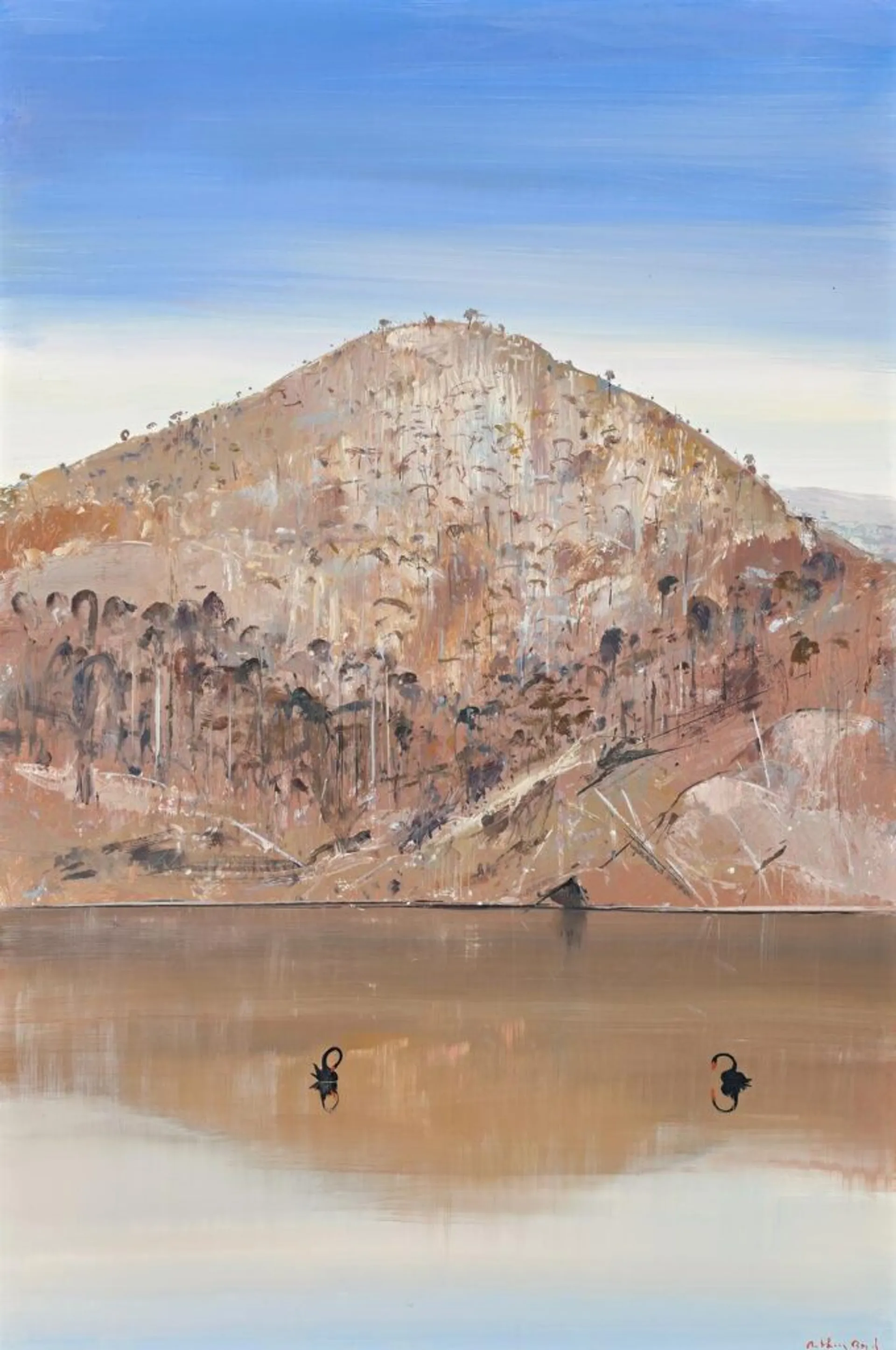 REFLECTED HILL, SHOALHAVEN