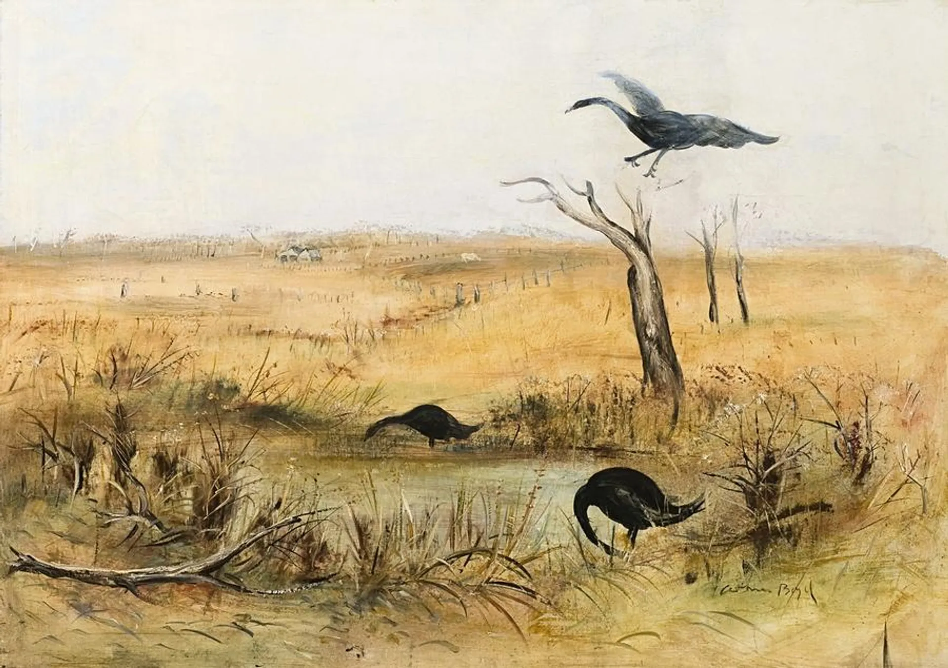 WIMMERA LANDSCAPE WITH BLACK SWANS