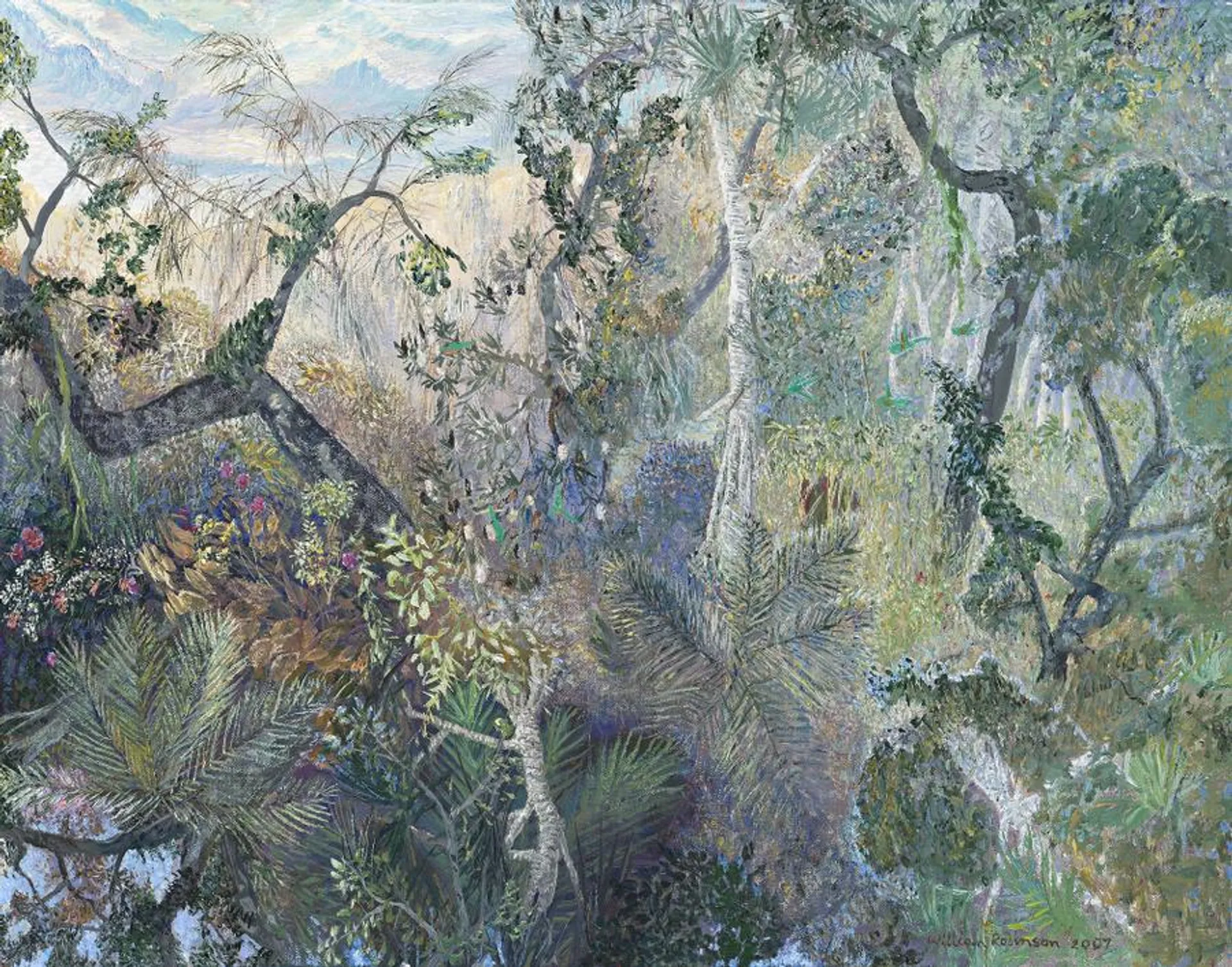 FOREST AND TURQUOISE SEA