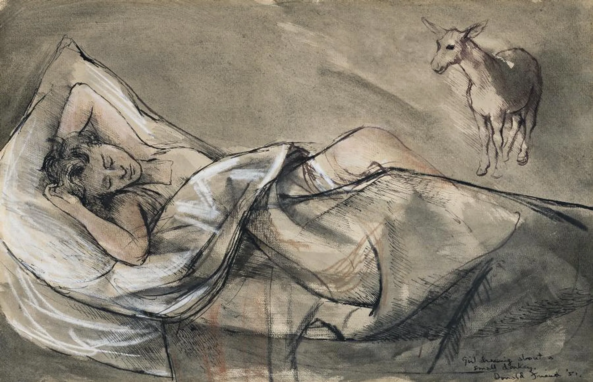 GIRL DREAMING ABOUT A SMALL DONKEY