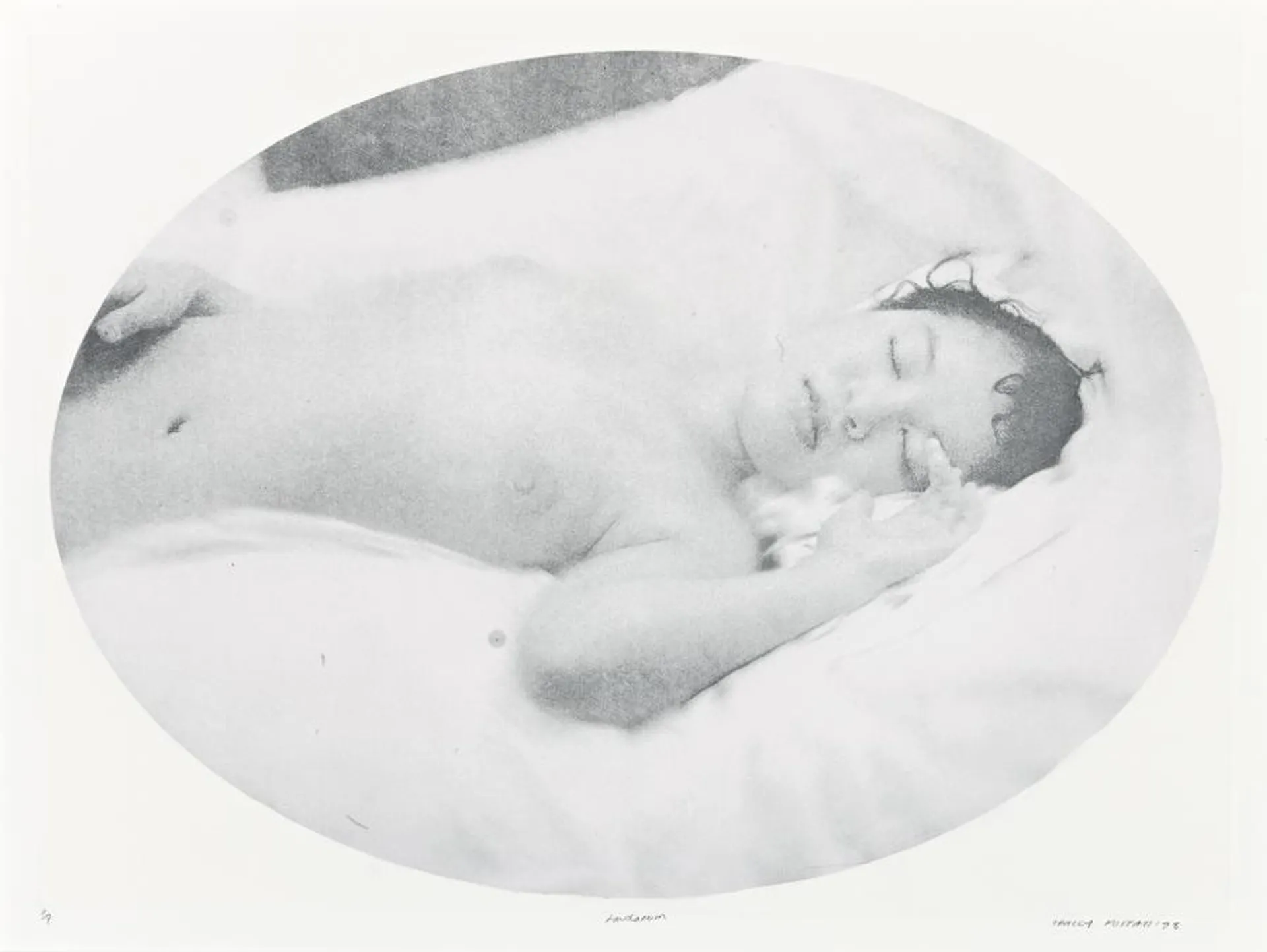 LAUDANUM #7