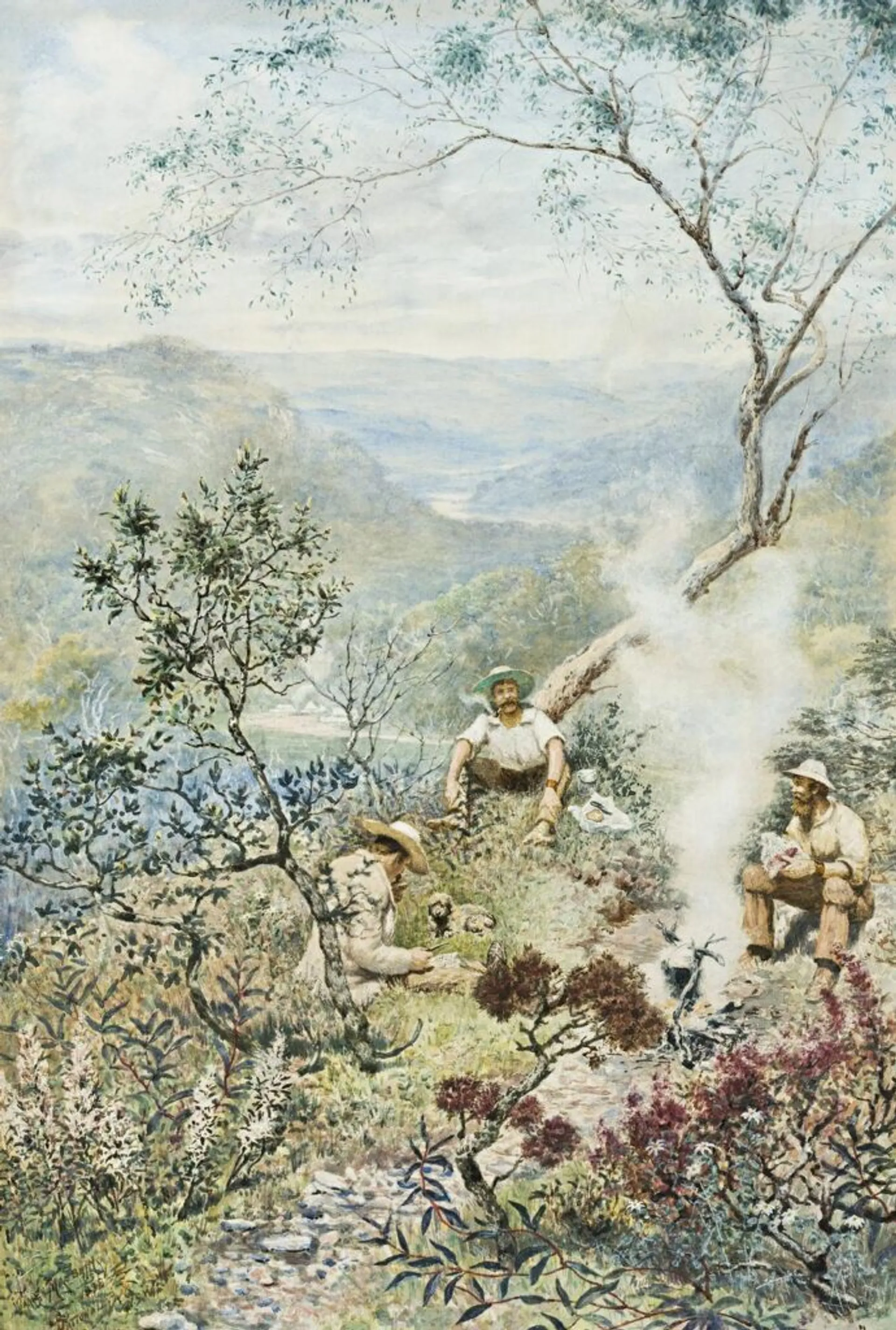 NATIONAL PARK NSW