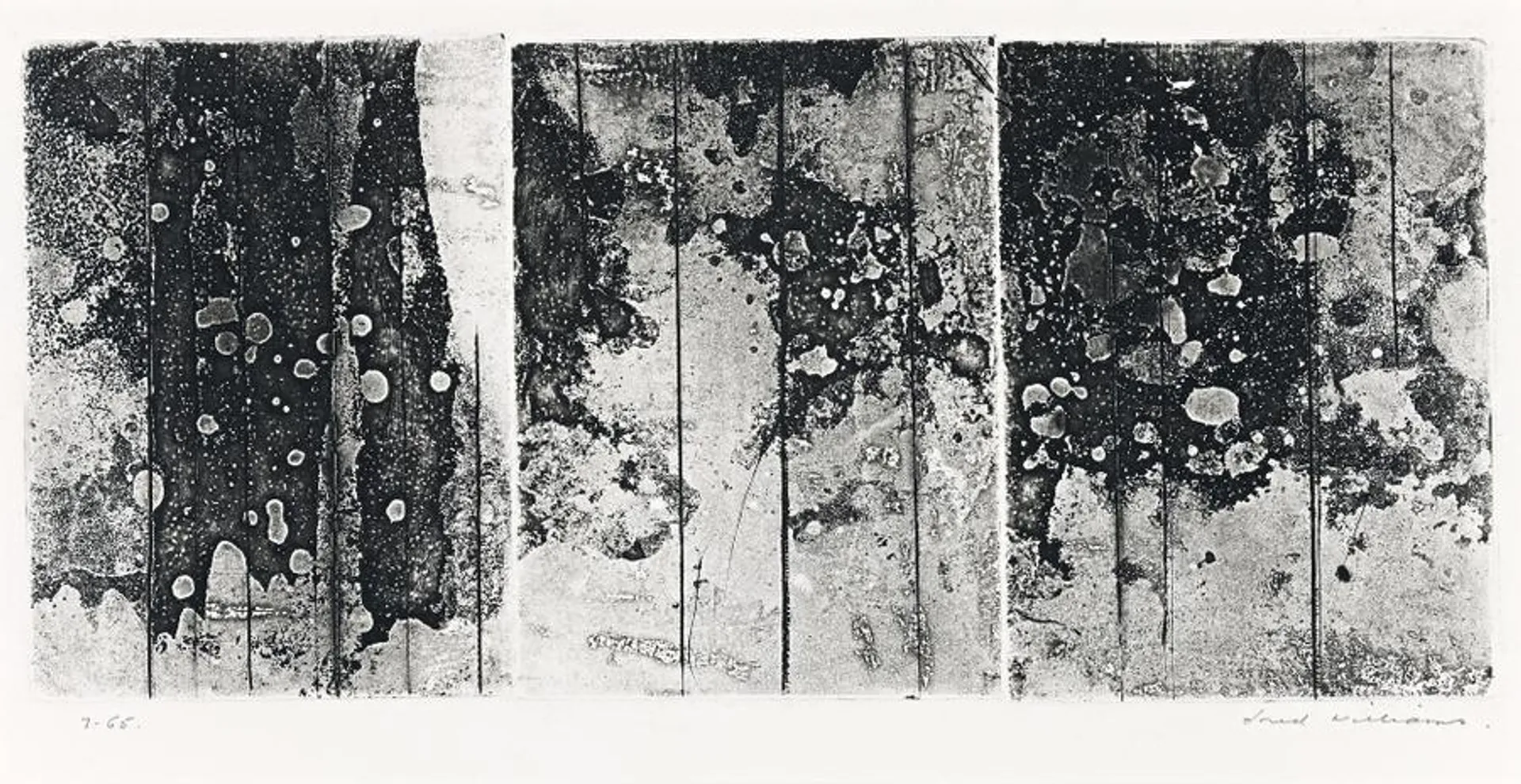 LANDSCAPE TRIPTYCH NO. 1