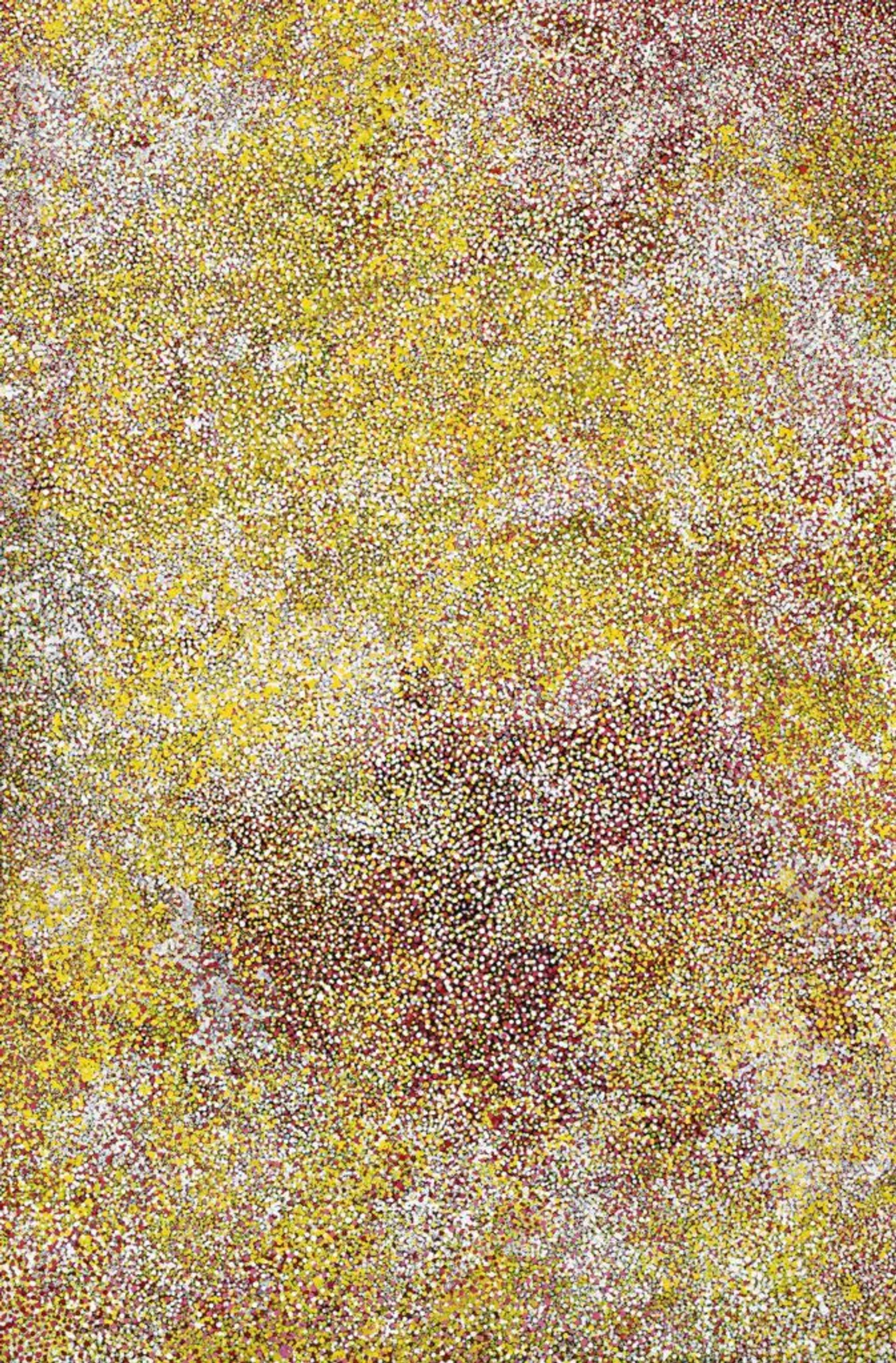BUSH PLUM