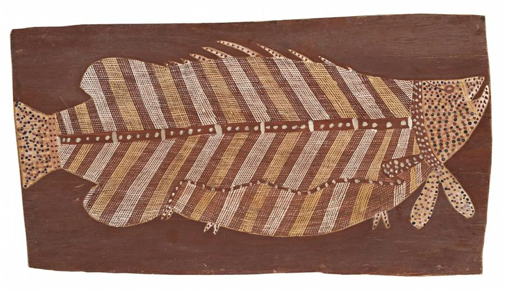 BARRAMUNDI