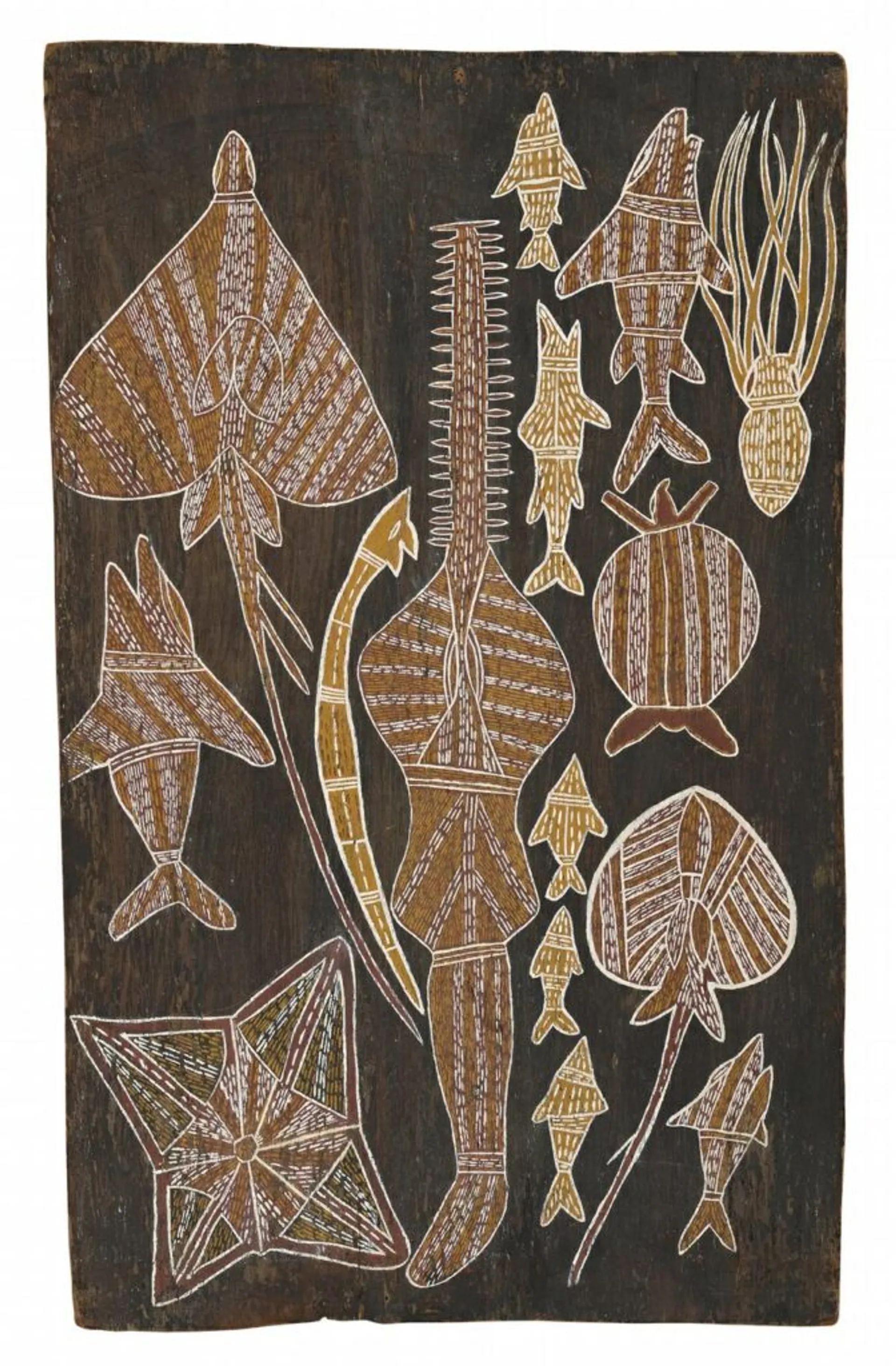 MARINE CREATURES
