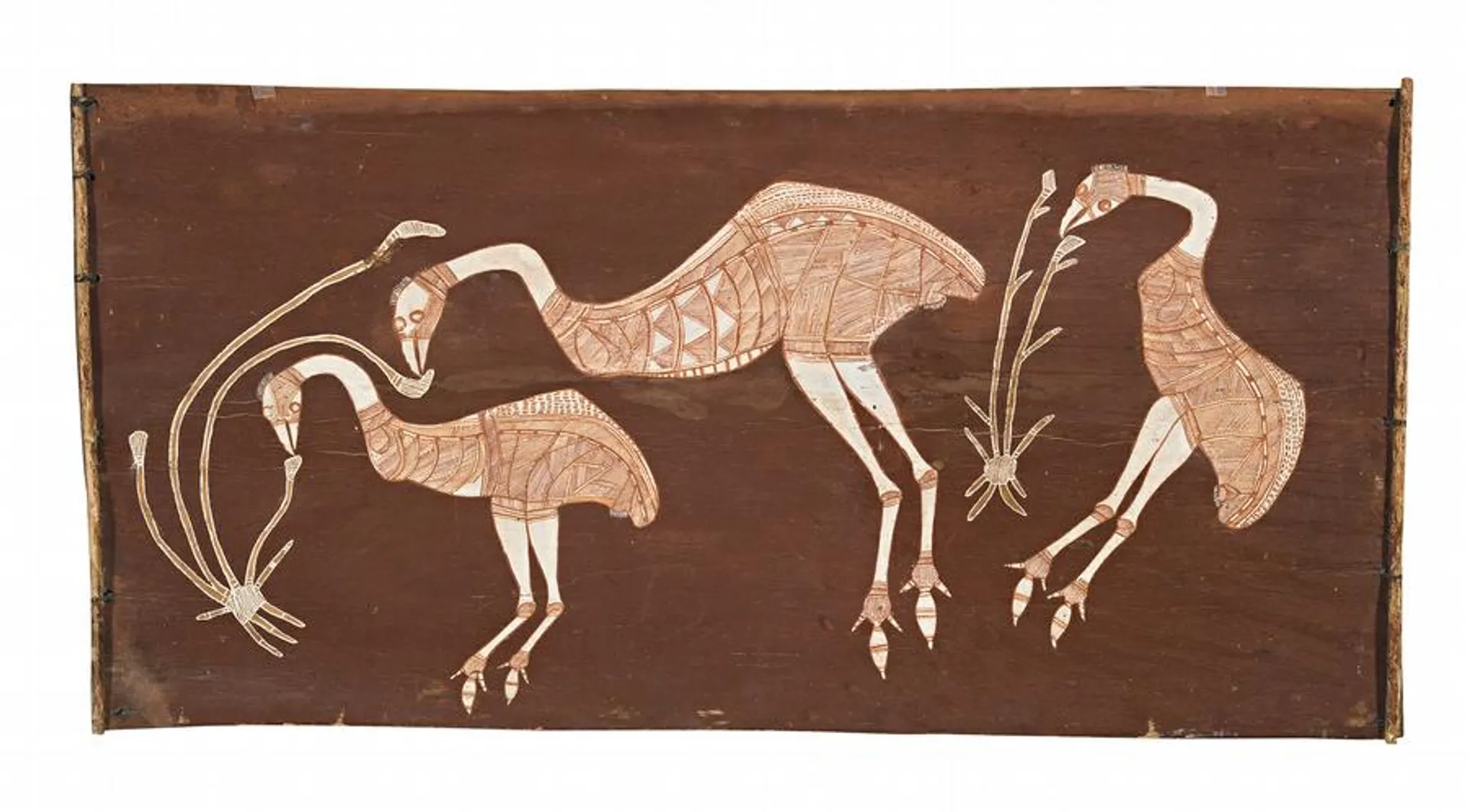 EMUS FEEDING