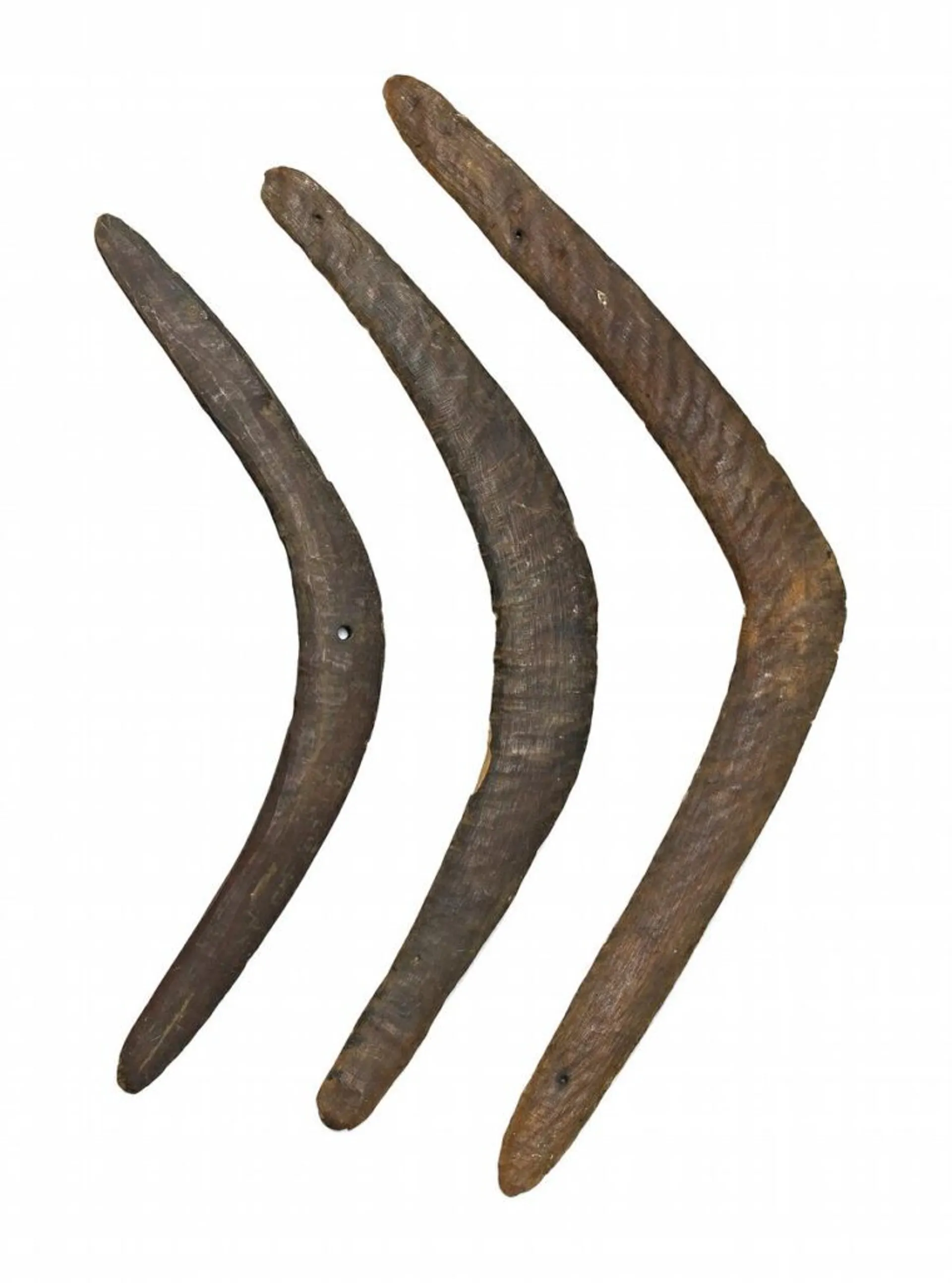 Lot 14