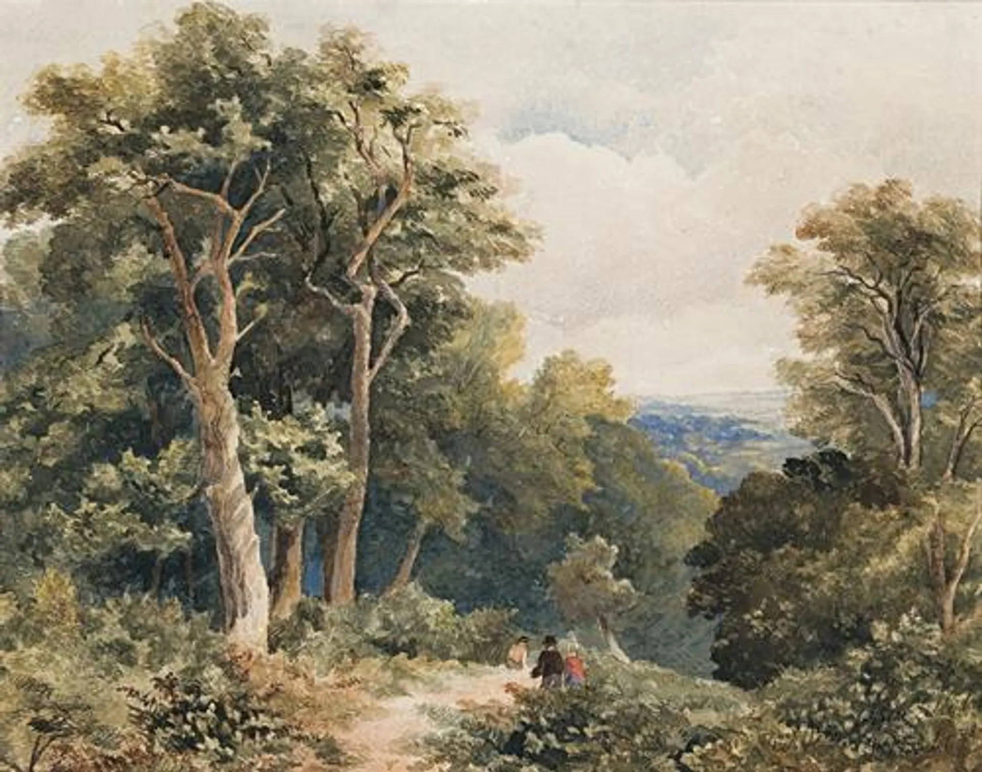 PICNIC NEAR LILYDALE