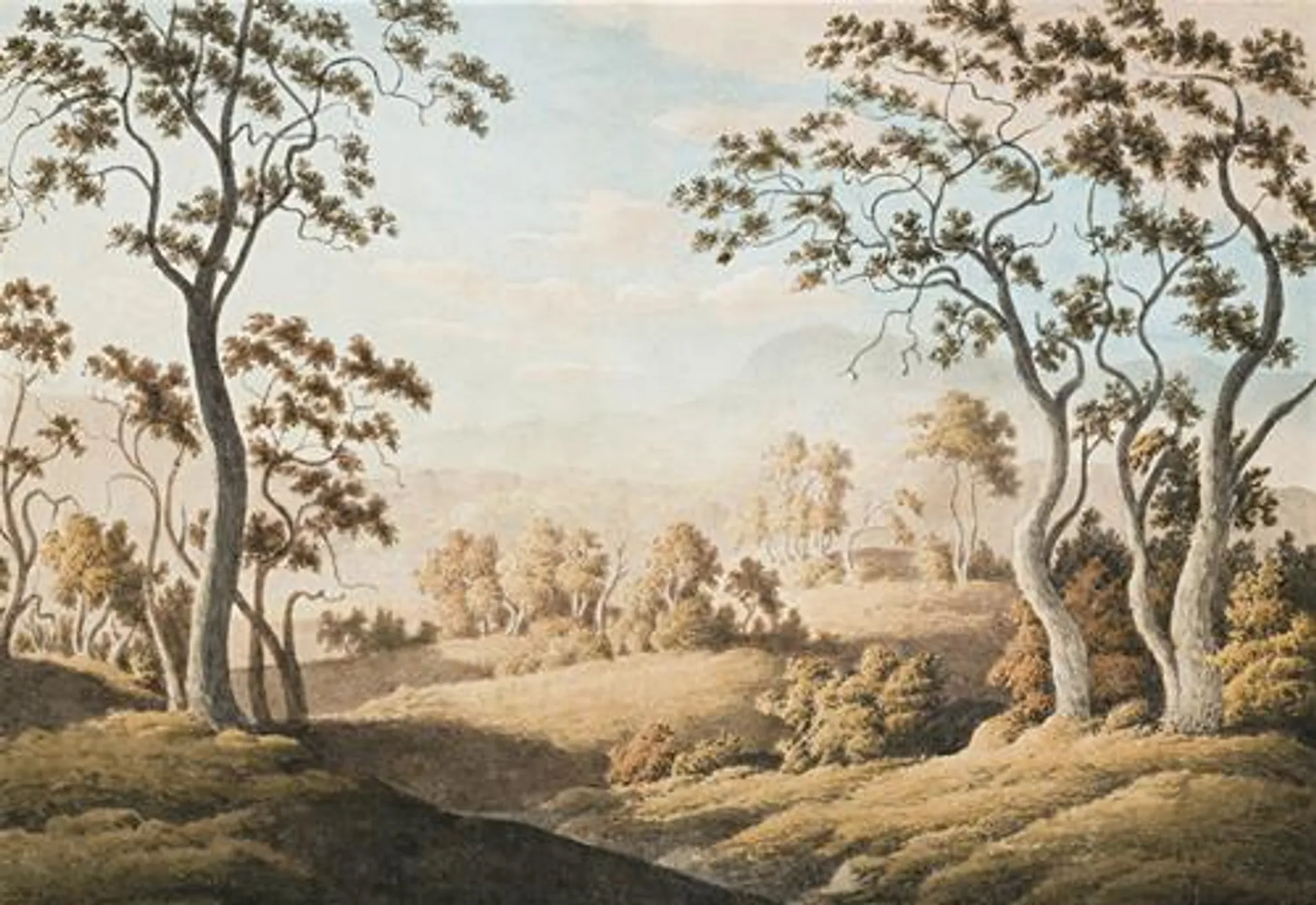 NILE VALLEY LANDSCAPE WITH BEN LOMOND IN DISTANCE