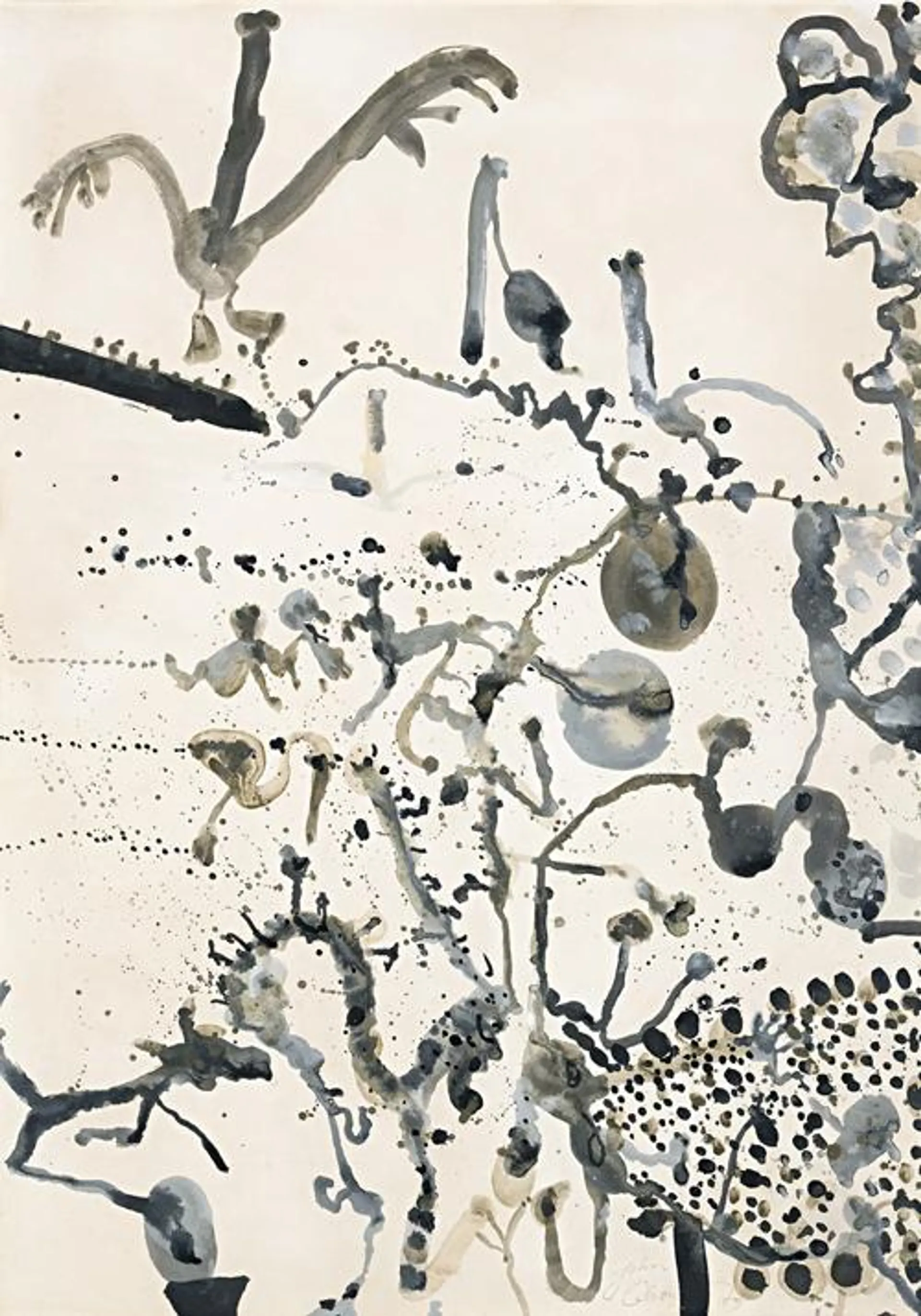 BIRDS OVER THE DESERT