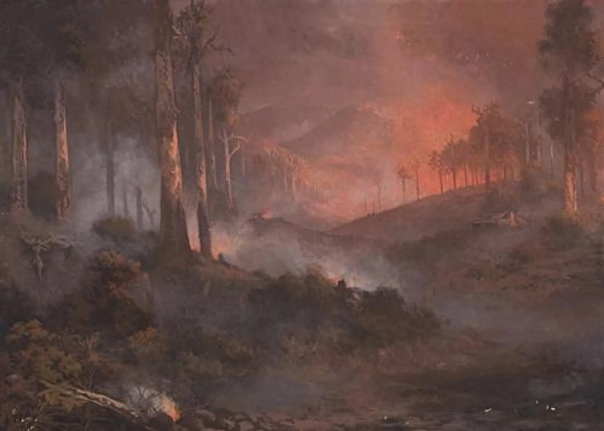 BUSHFIRE, GIPPSLAND, VICTORIA