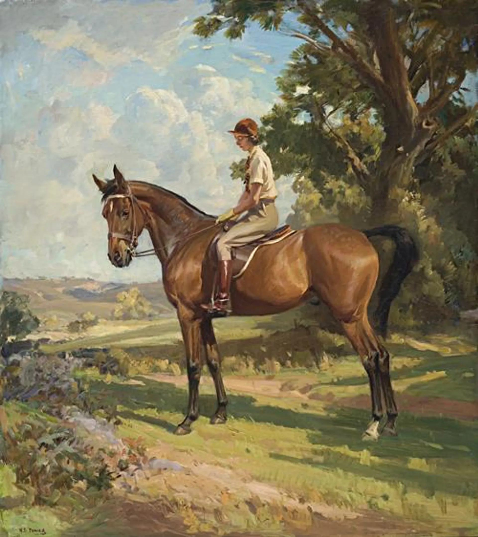 THE YOUNG EQUESTRIAN