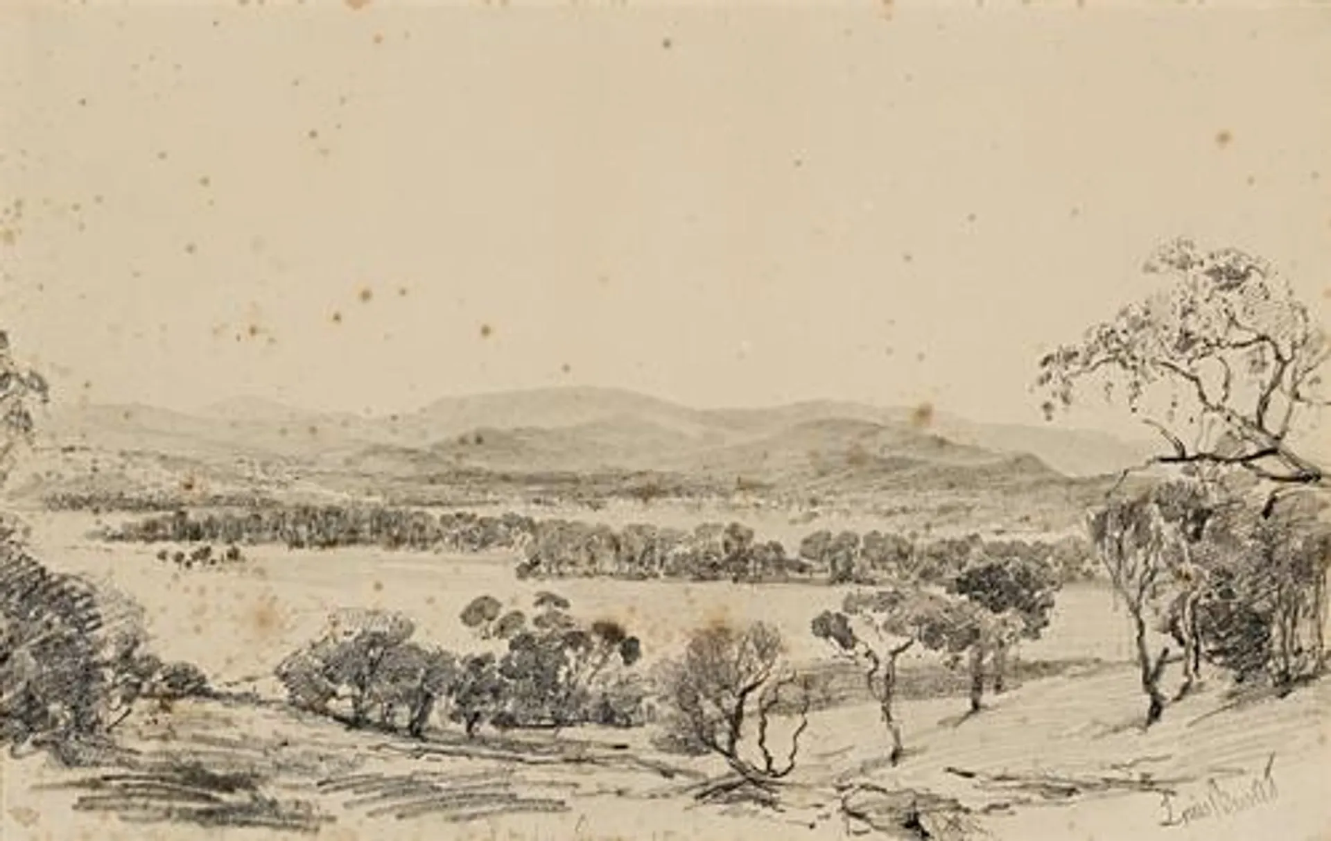 LILYDALE