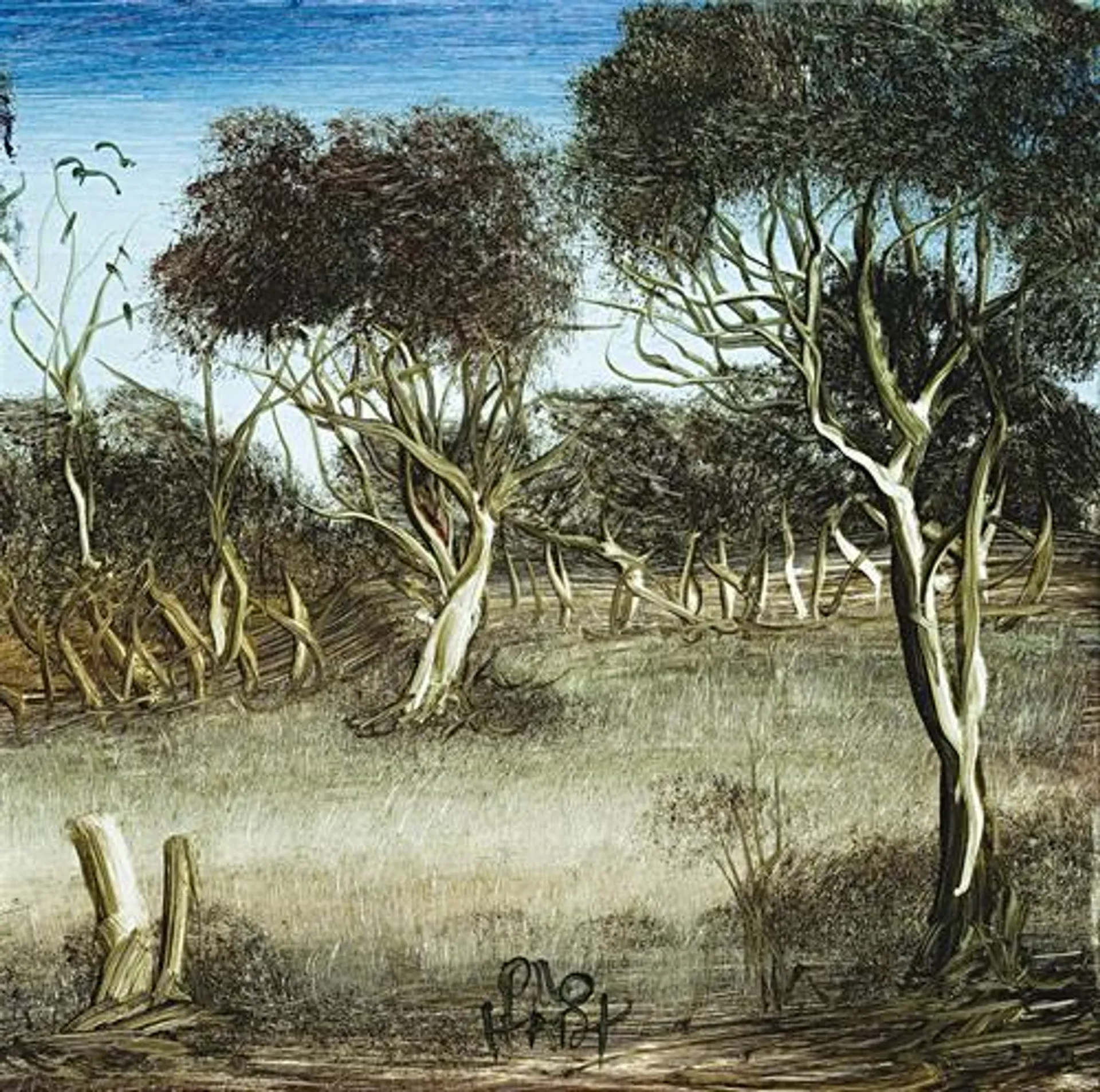 LANDSCAPE