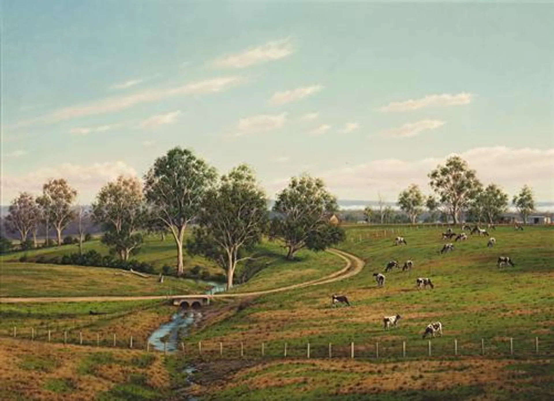 CATTLE FARM NEAR WILTON, NSW