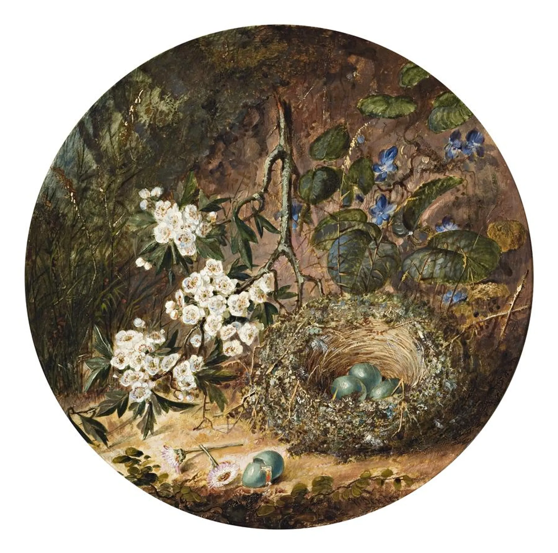 FALLEN BIRDS’ NEST