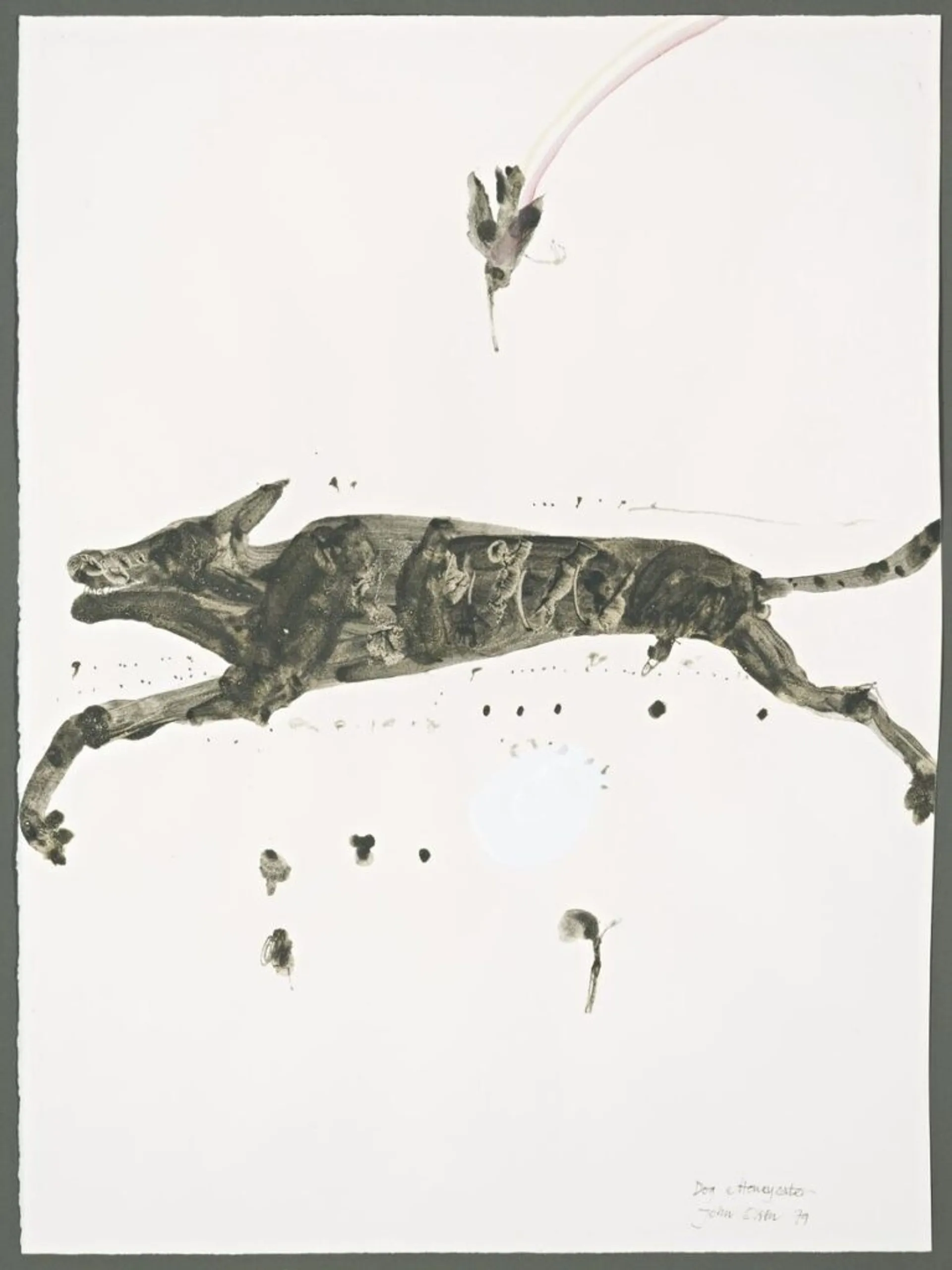 DOG AND HONEYEATER