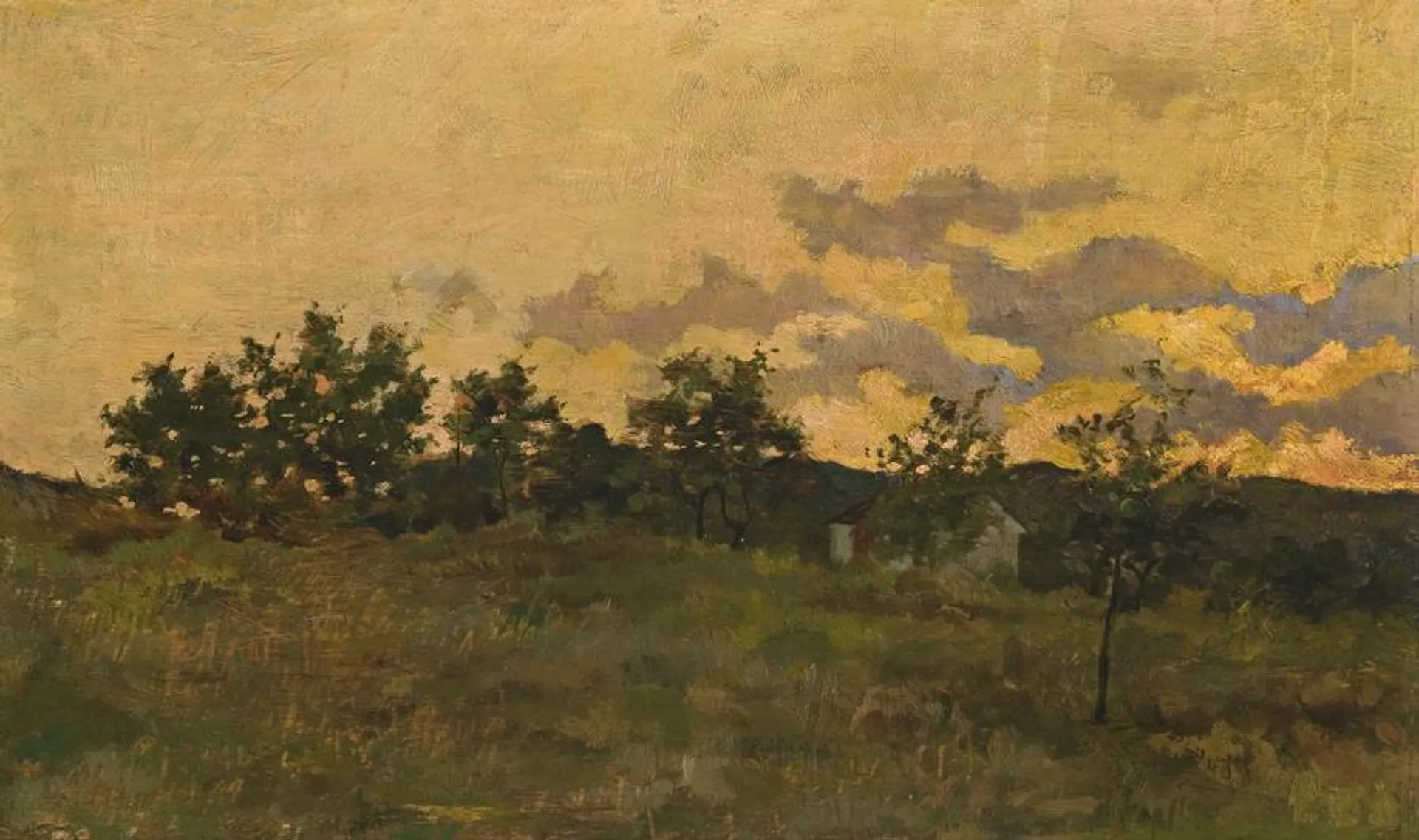 LANDSCAPE