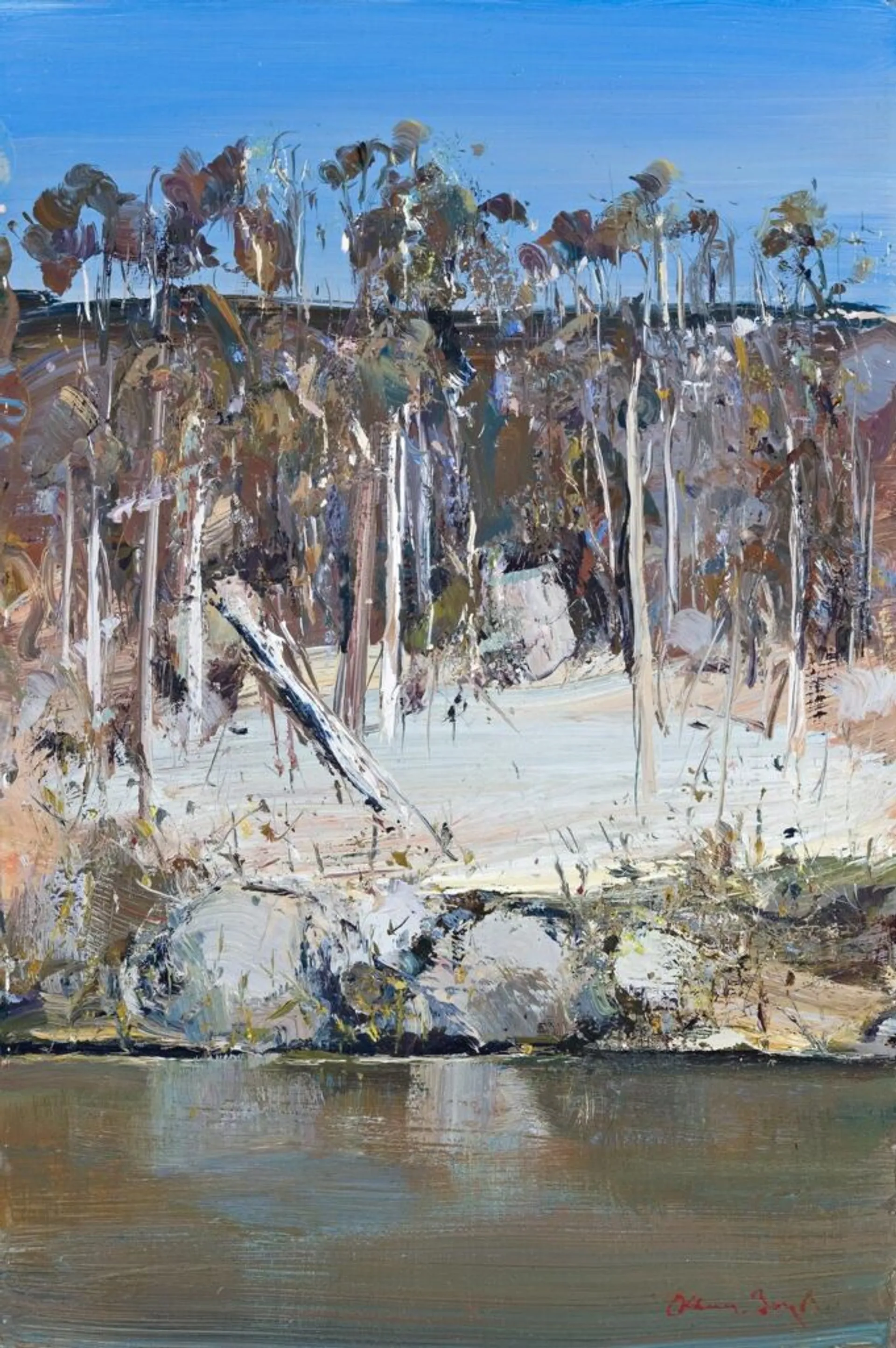 SHOALHAVEN RIVERBANK