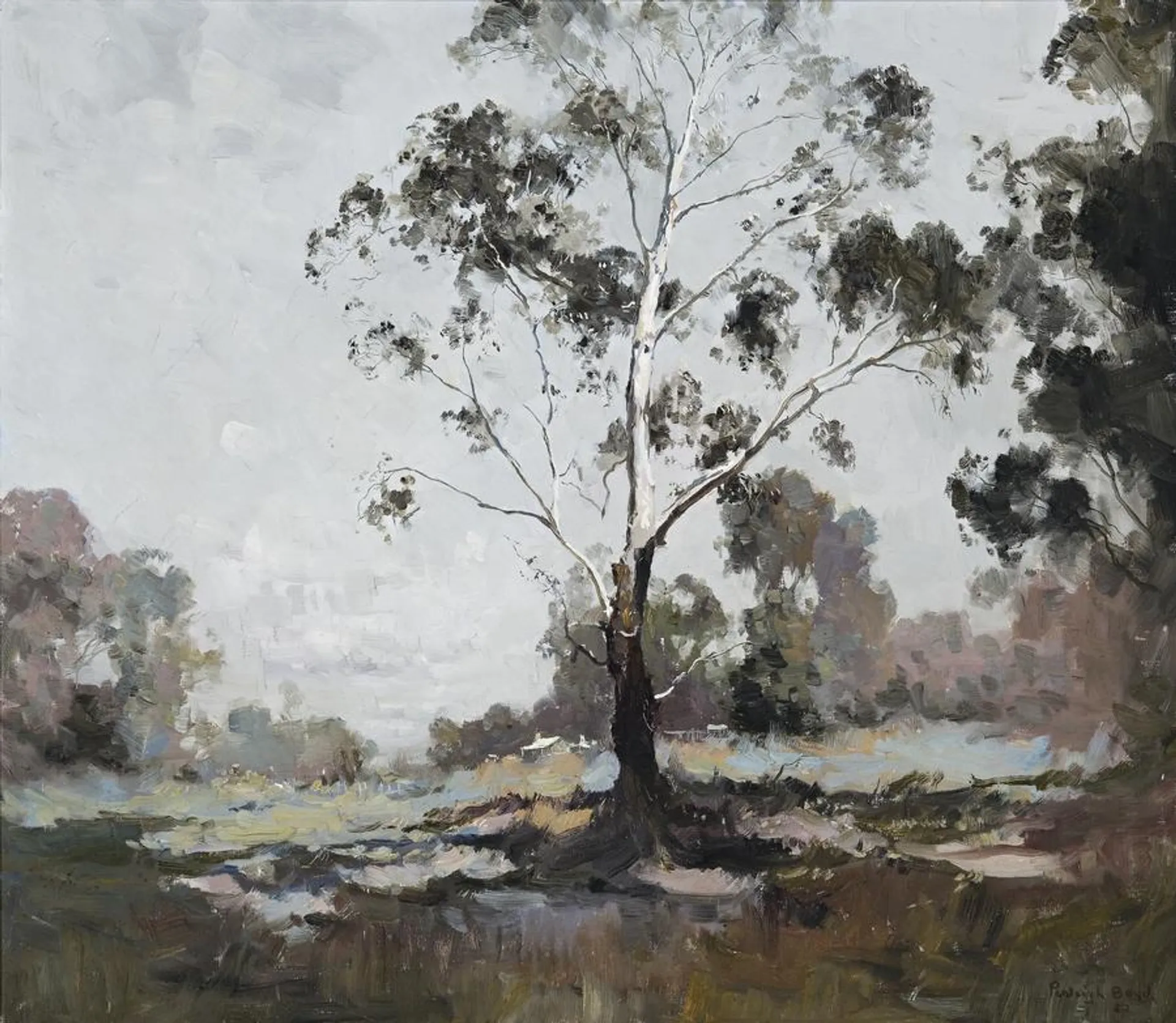 LANDSCAPE WITH WHITE GUM