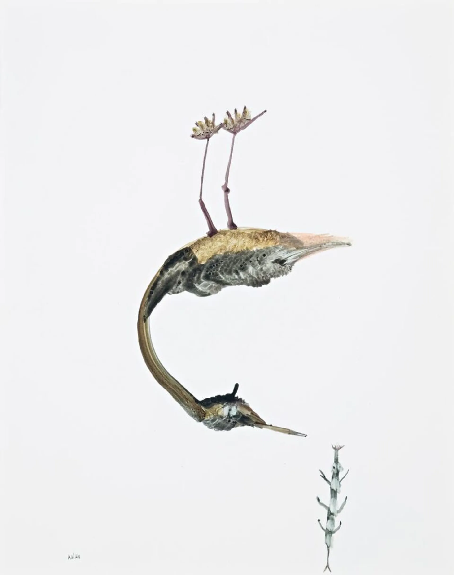 UPSIDE DOWN BIRD AND INSECT