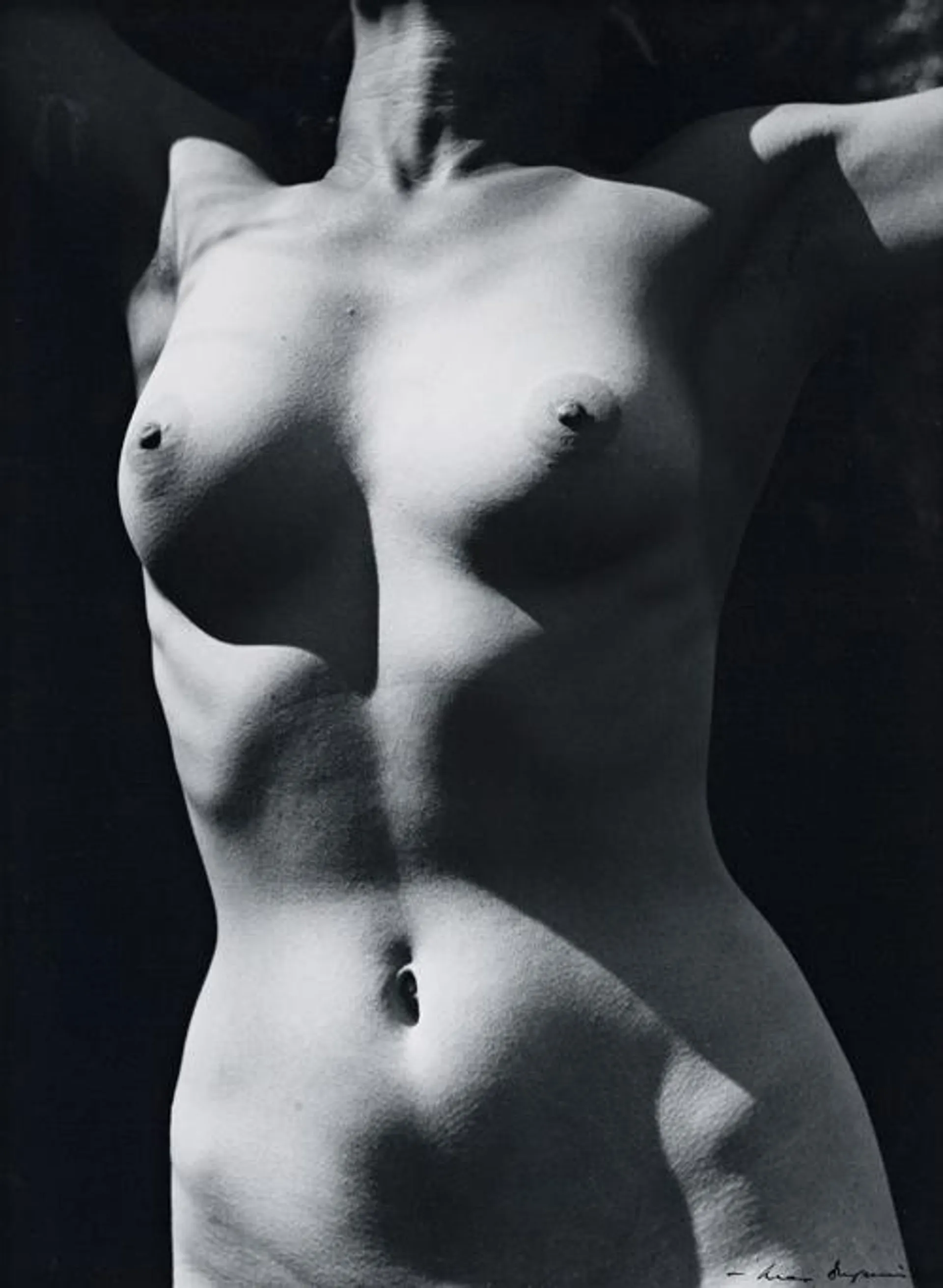 TORSO IN SUN II
