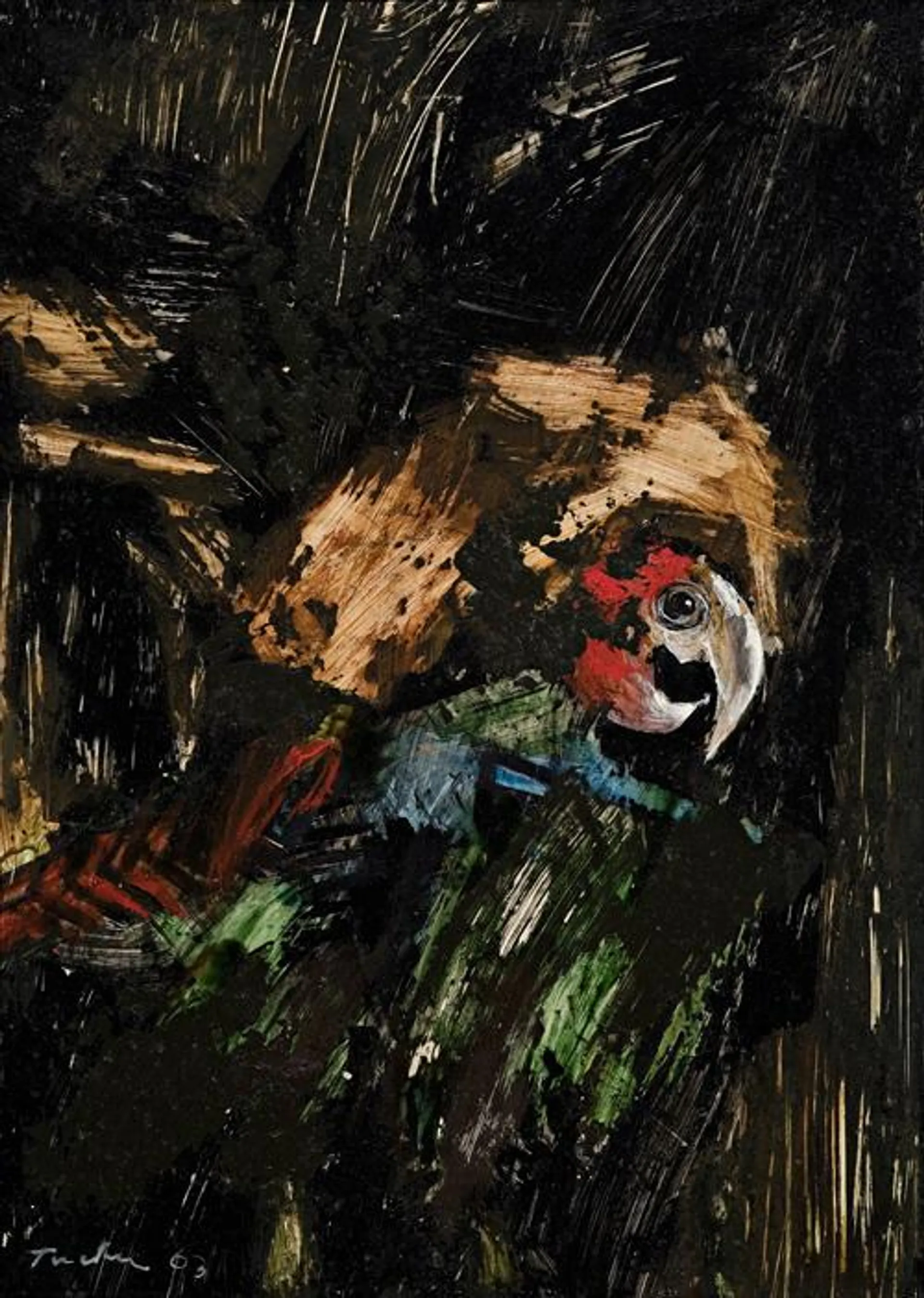 THE PARROT