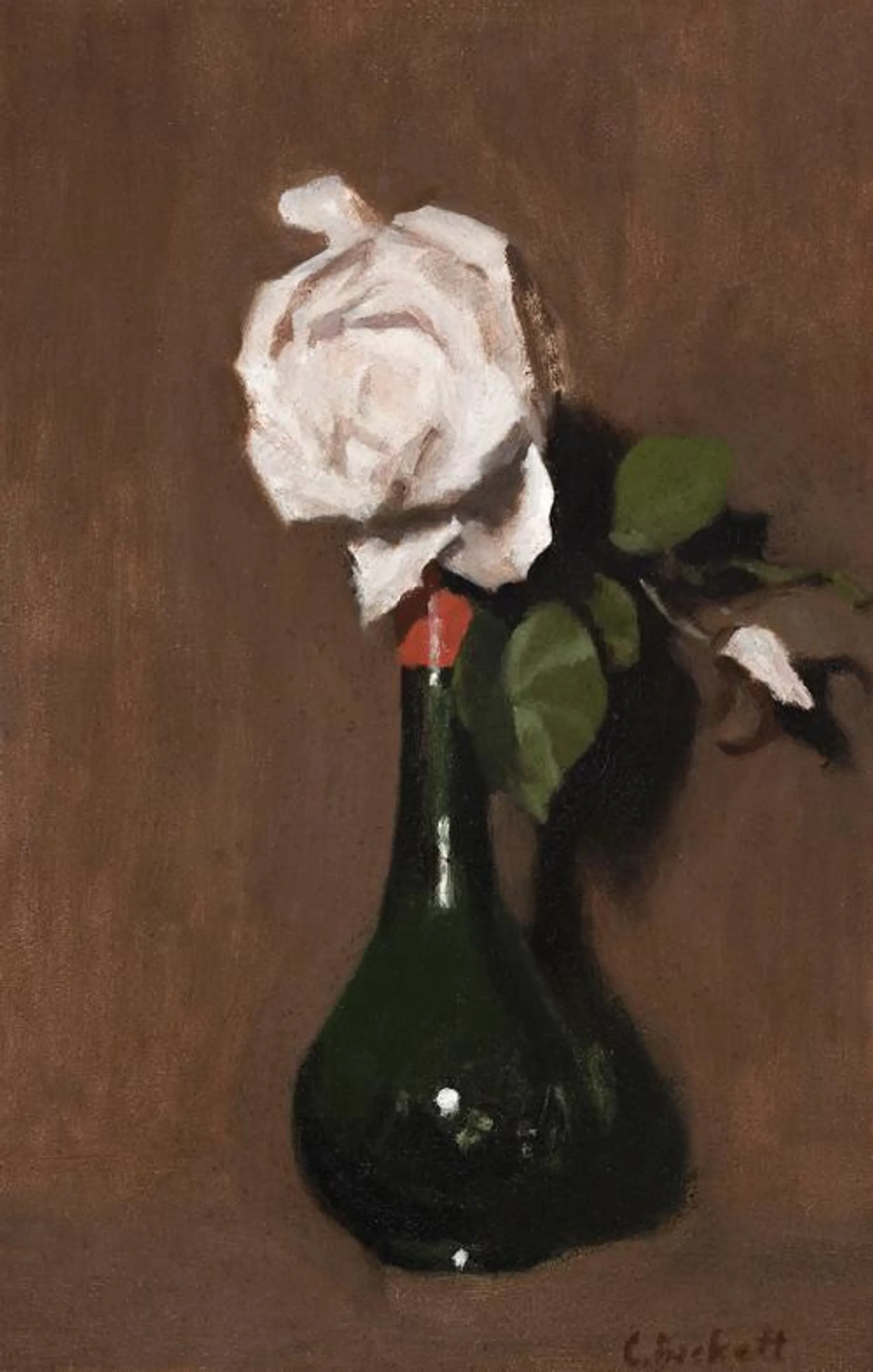 THE WHITE ROSE