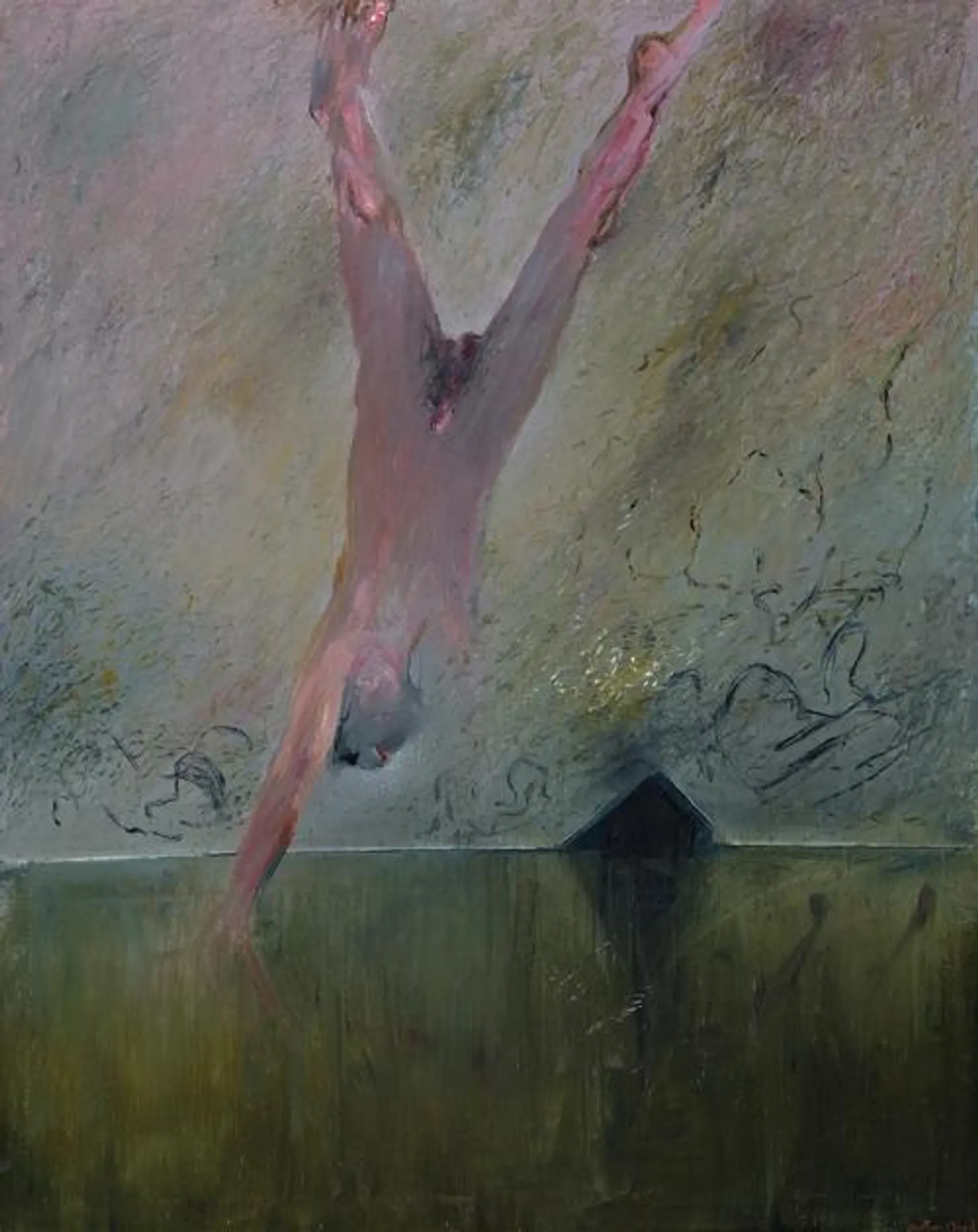 FIGURE FALLING, SHOALHAVEN