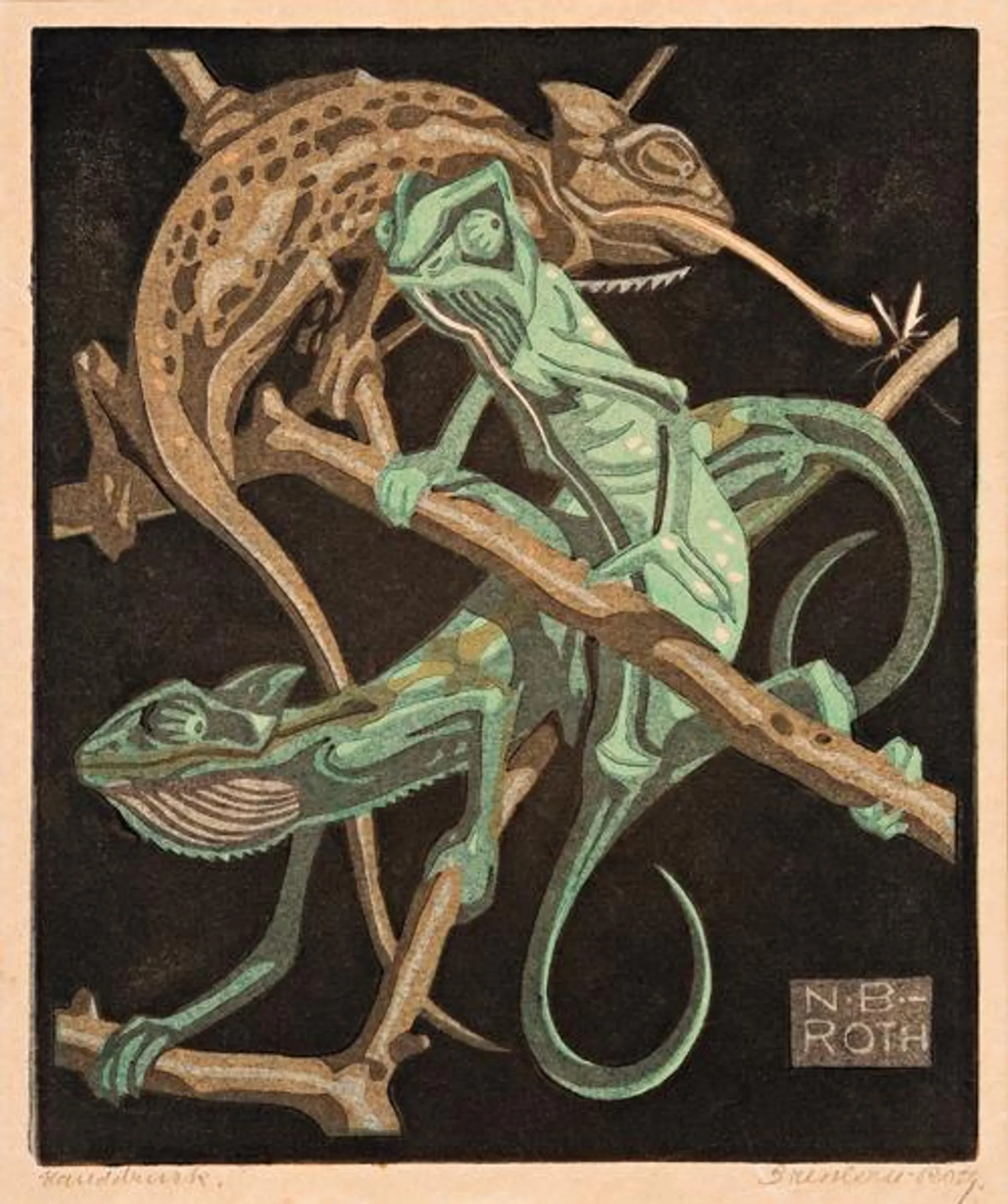 CHAMELEONS