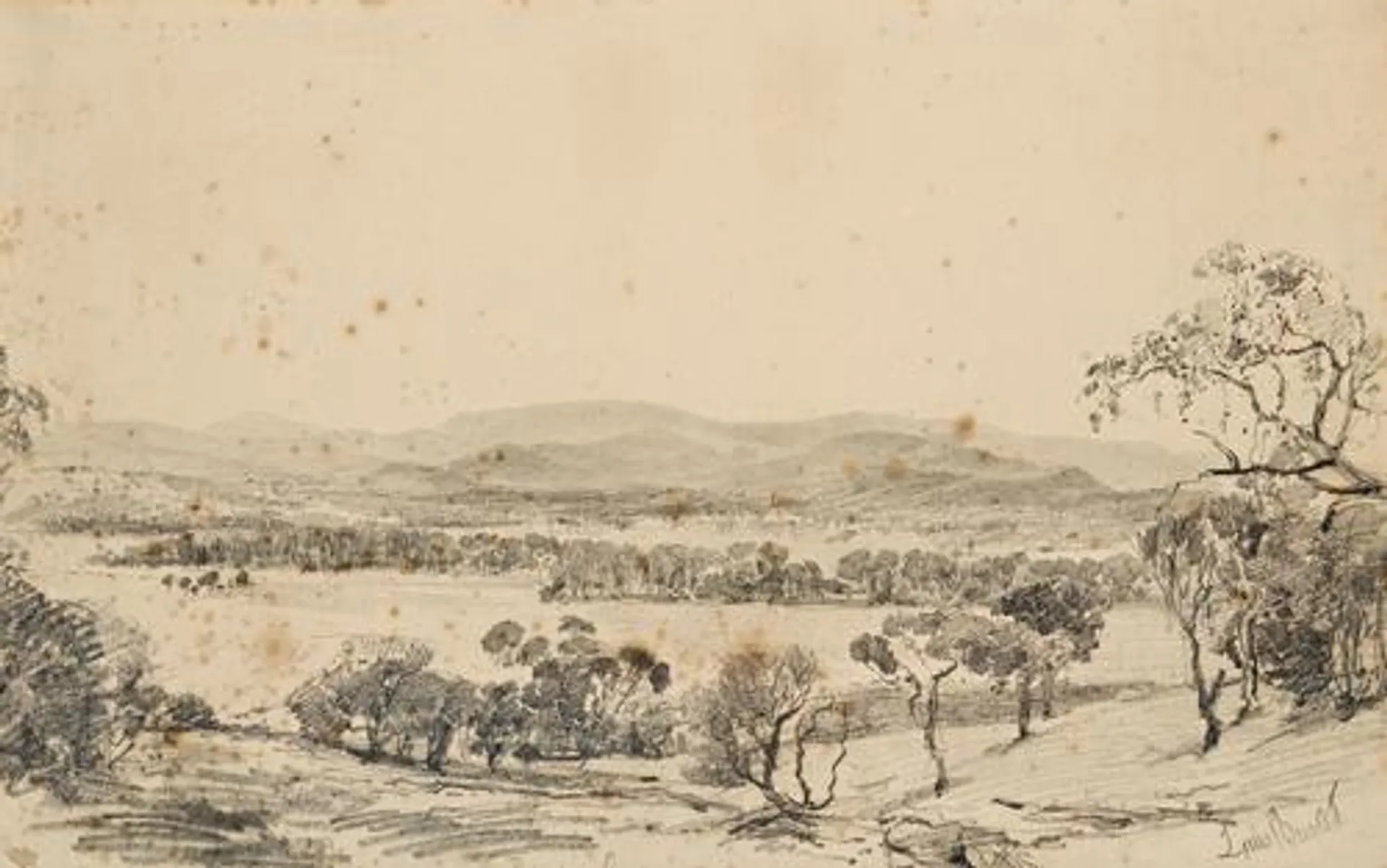 YARRA VALLEY LANDSCAPE