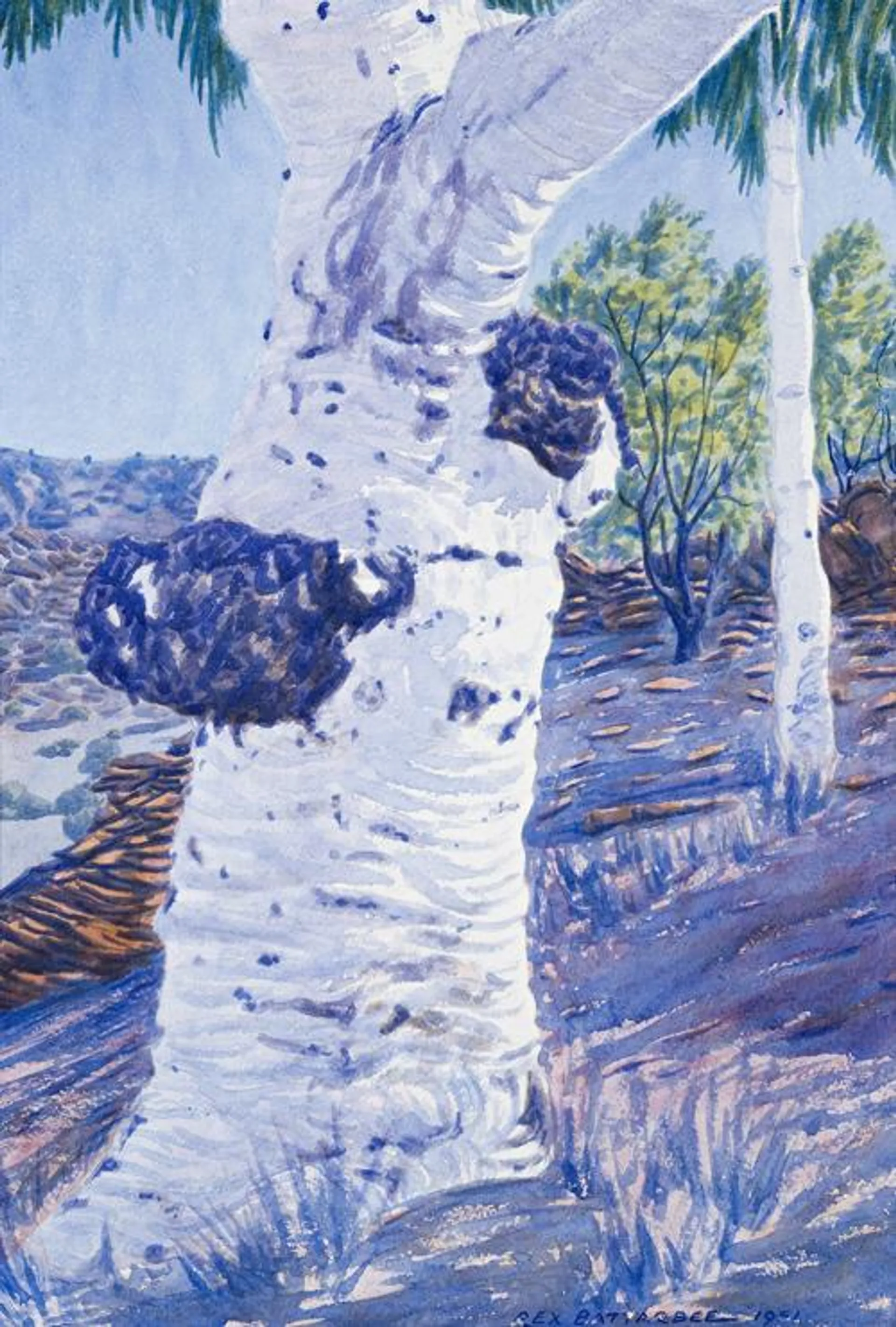 MAUVE TREE TRUNK