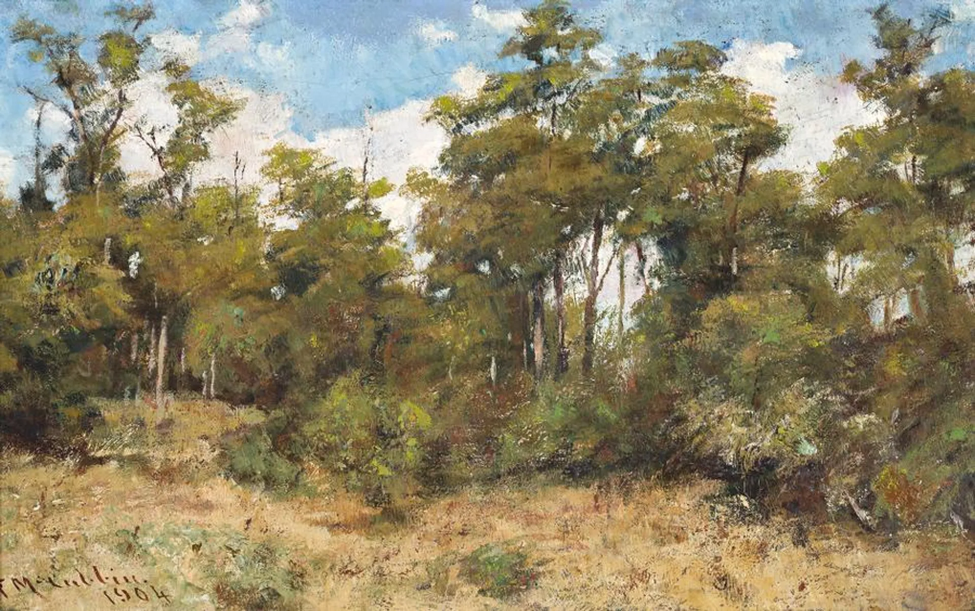 GUM TREES – MT MACEDON