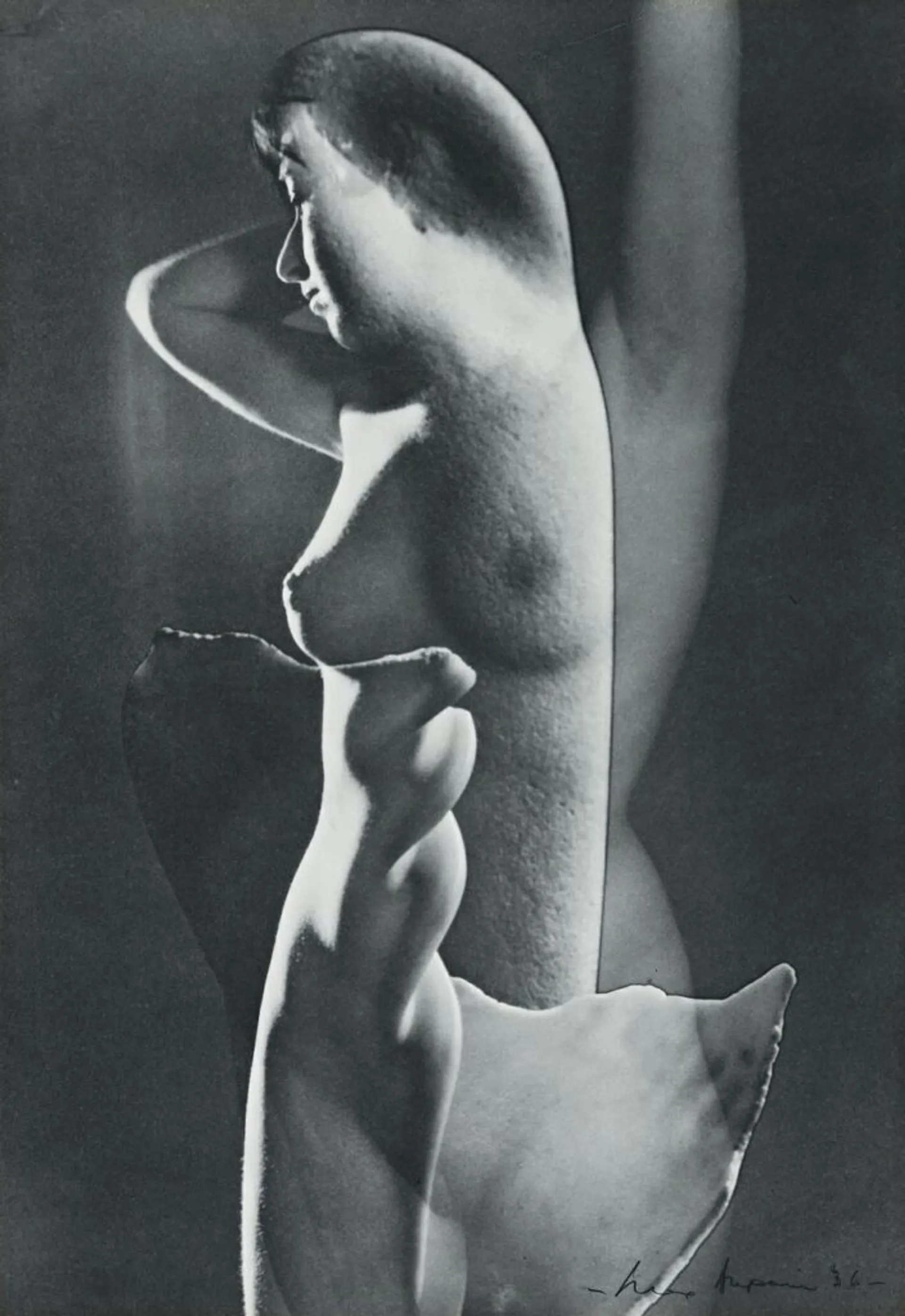 IMPASSIONED CLAY